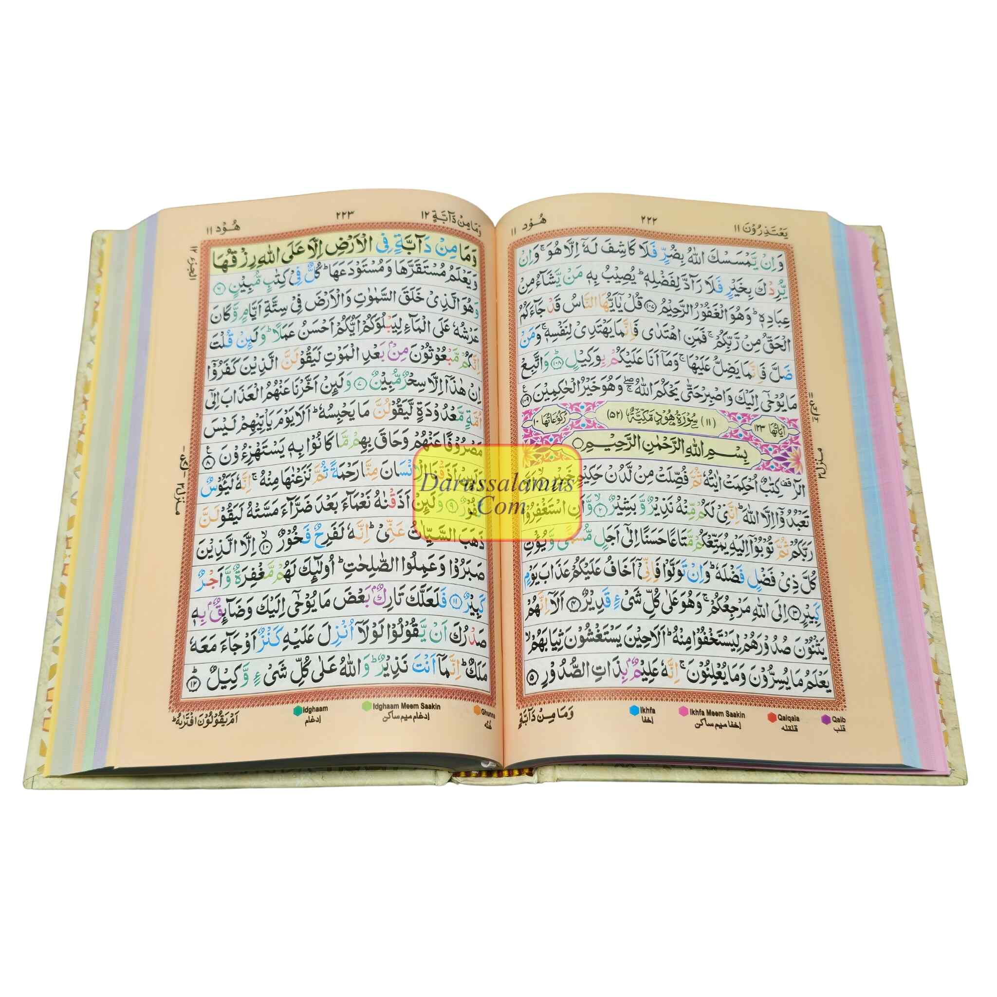 Holy Quran Color Coded 15 Line - Medium Size、mySite、topwebapps