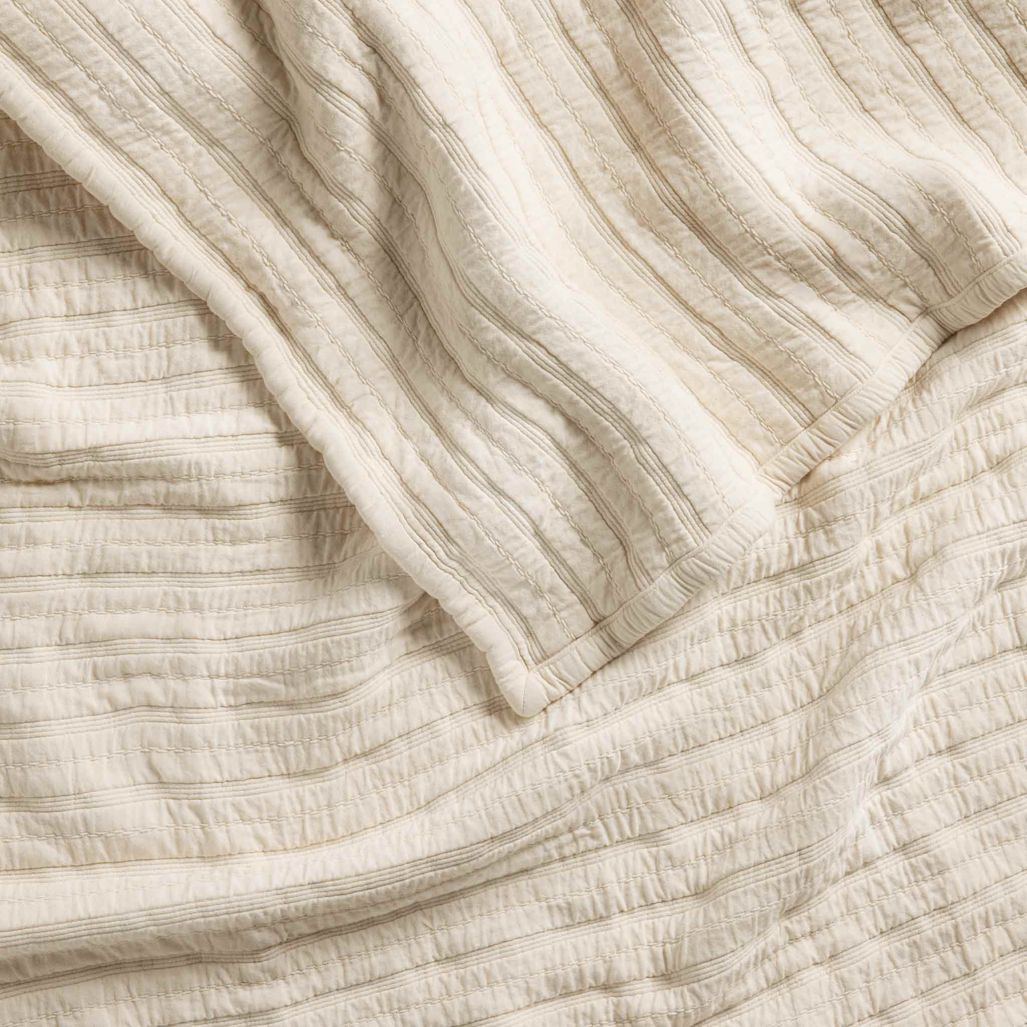 Organic Cotton Shams - Last Call、mySite、sugarbowlscore