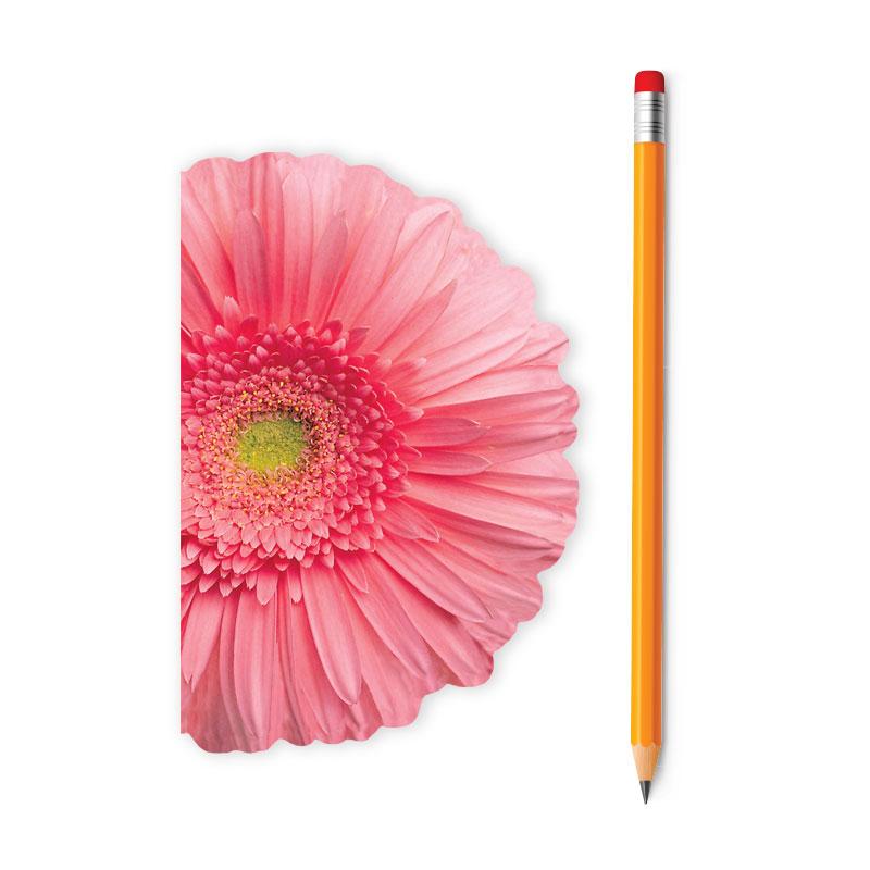 Mini Notebook - Pink Gerbera Daisy、mySite、ghnorth