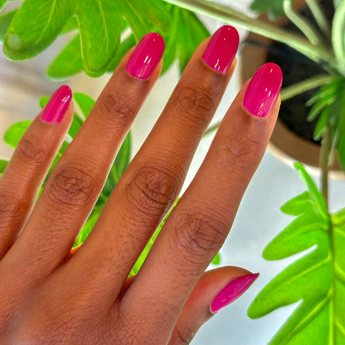 Leotard、mySite、solidvoid