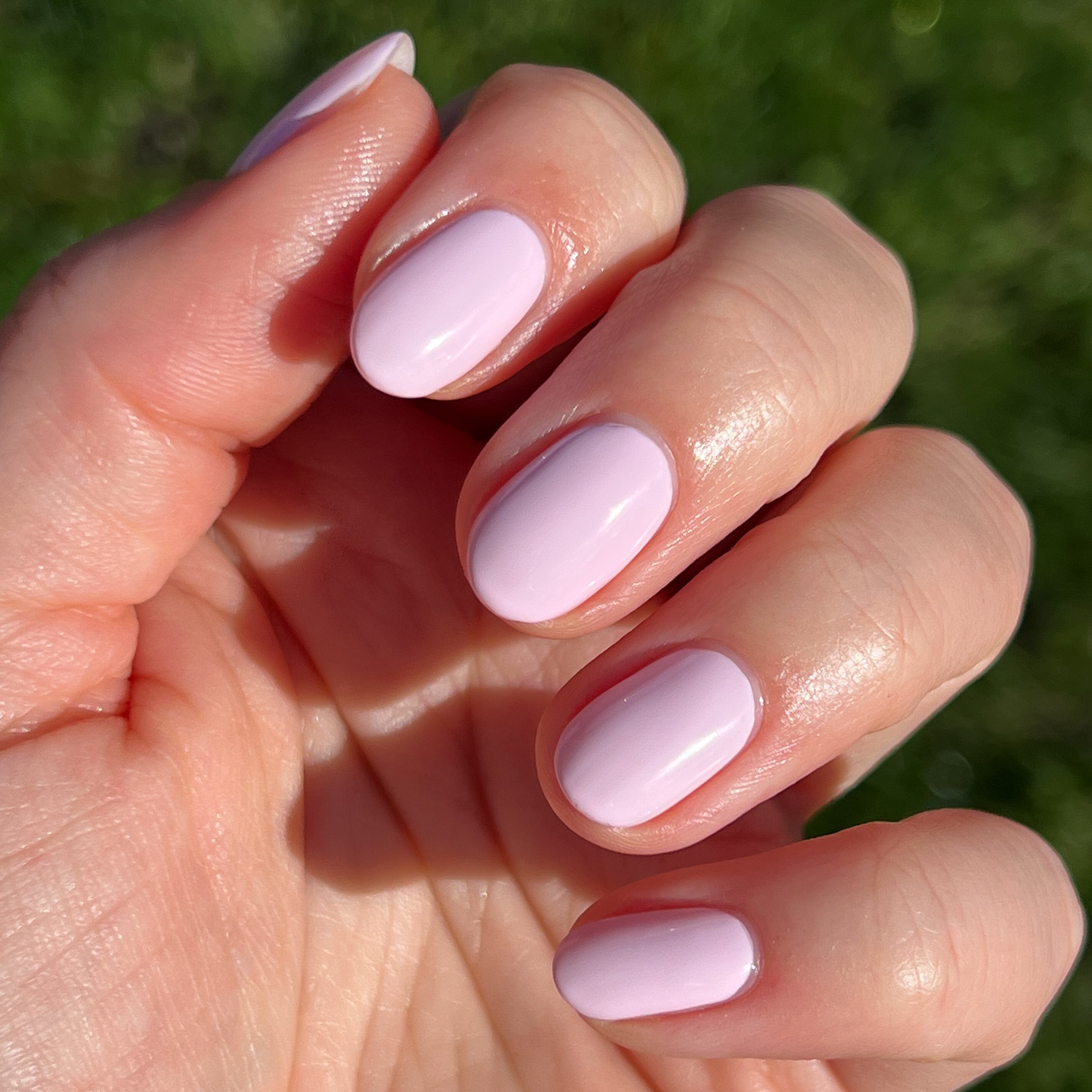 wait does it come in pink?、mySite、solidvoid