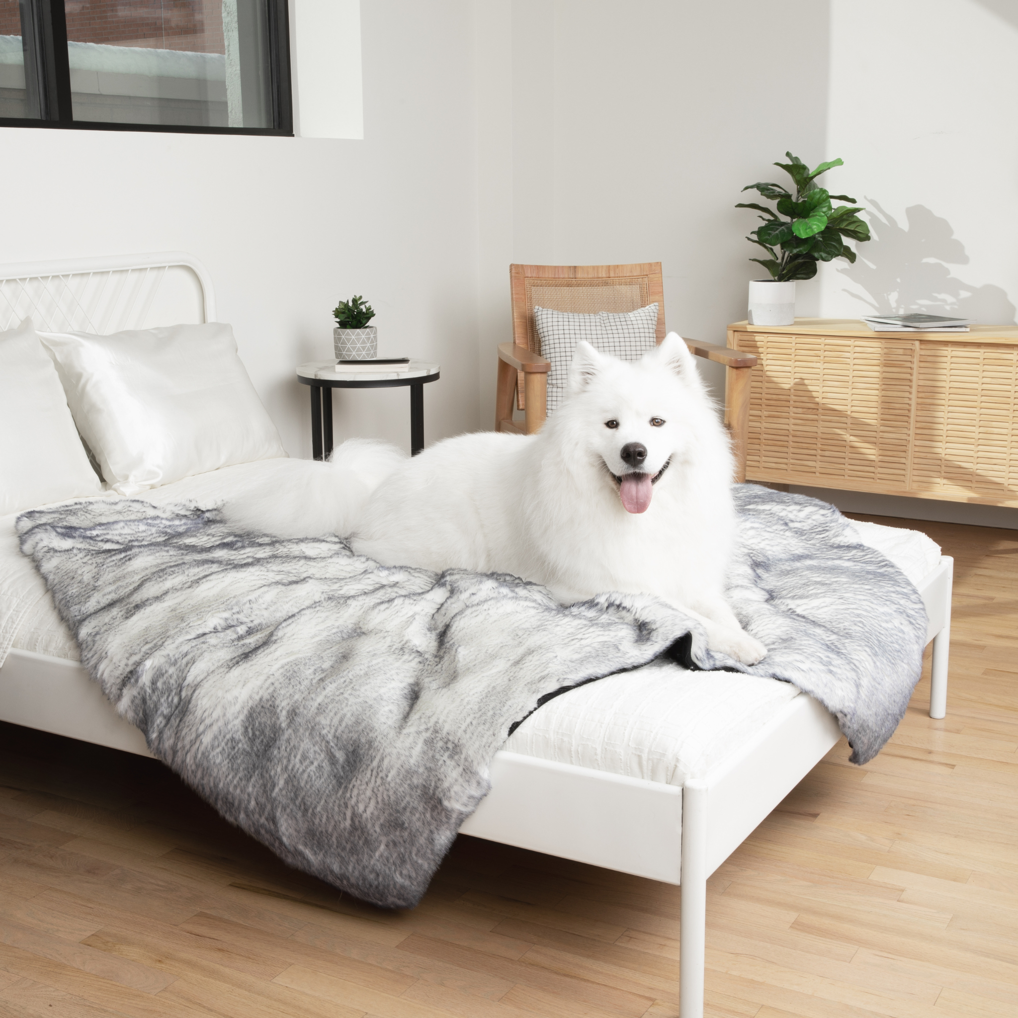 PupRug™ Luxe Orthopedic Bed + Matching Waterproof Blanket Bundle - Ultra Plush Arctic Fox、mySite、solidvoid