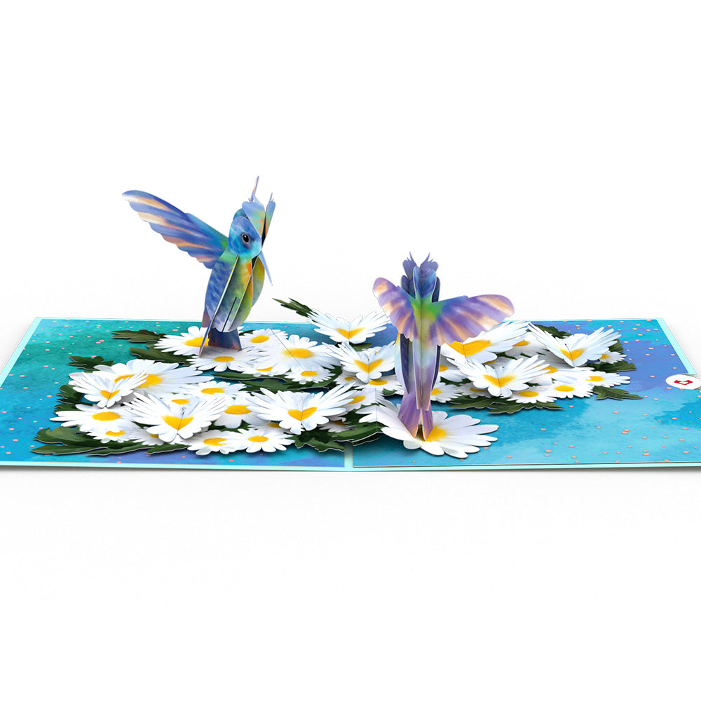 Daisy Patch Hummingbirds Pop-Up Card、mySite、solidvoid