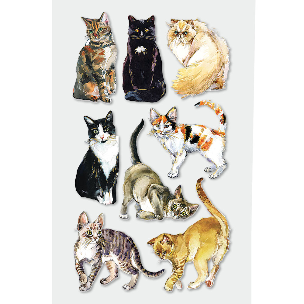  Cats Dimensional Stickers、mySite、ghnorth