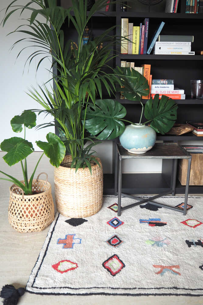 WASHABLE AREA RUG NAADOR、mySite、gigharbornorthrealestate