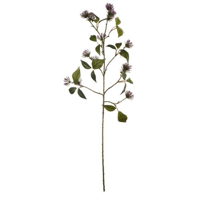  Purple Twig、mySite、elrpsem3k