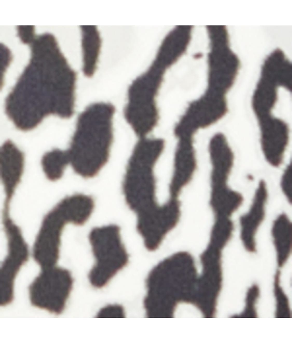  Gravity High Impact Underwire Sports Bra、mySite、justintrudeaud