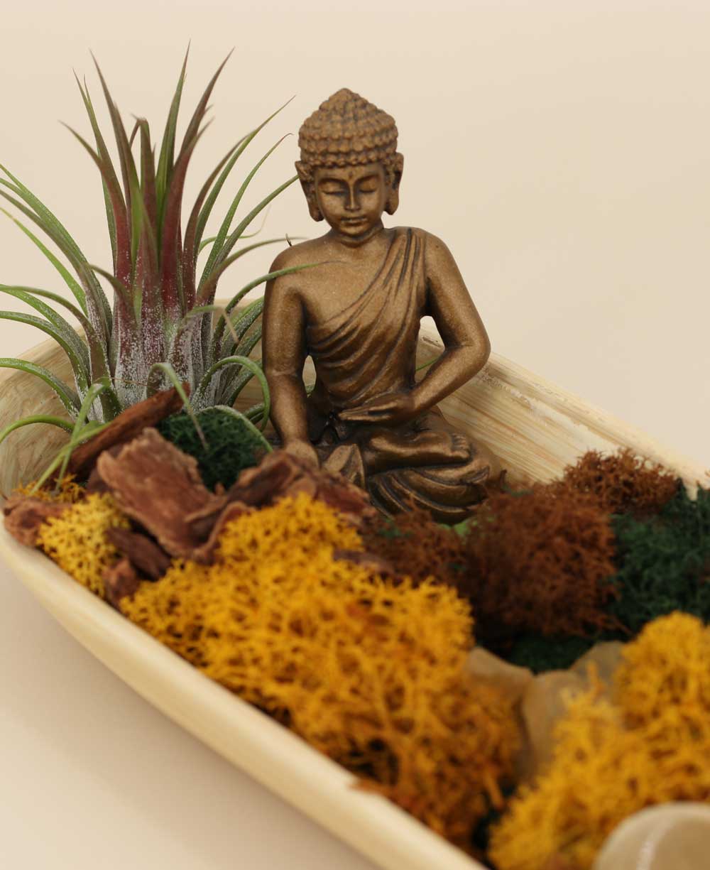 Buddha Gratitude Terrarium – Peaceful Serenity in Nature、mySite、topwebapps