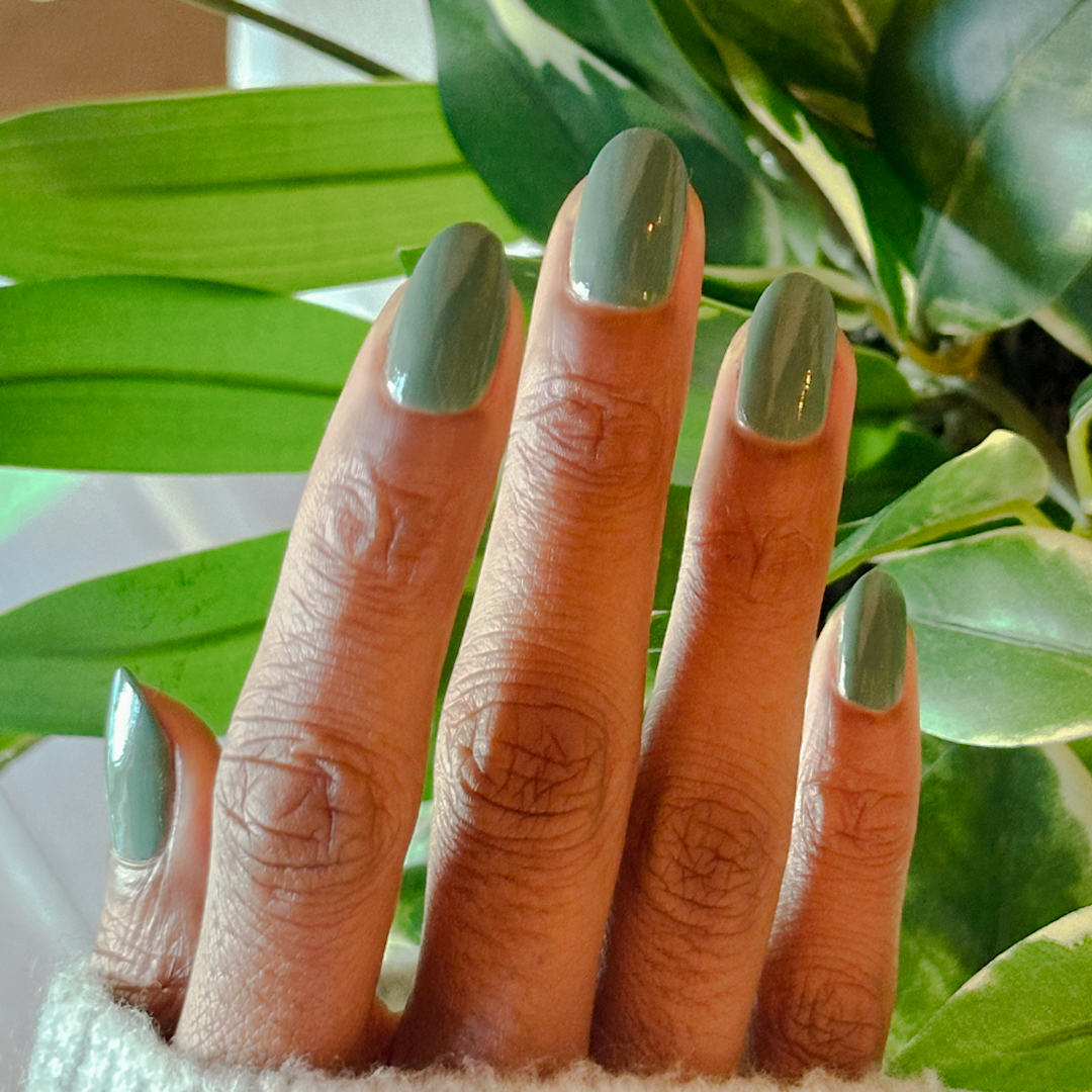 Still Life of Flowers、mySite、solidvoid