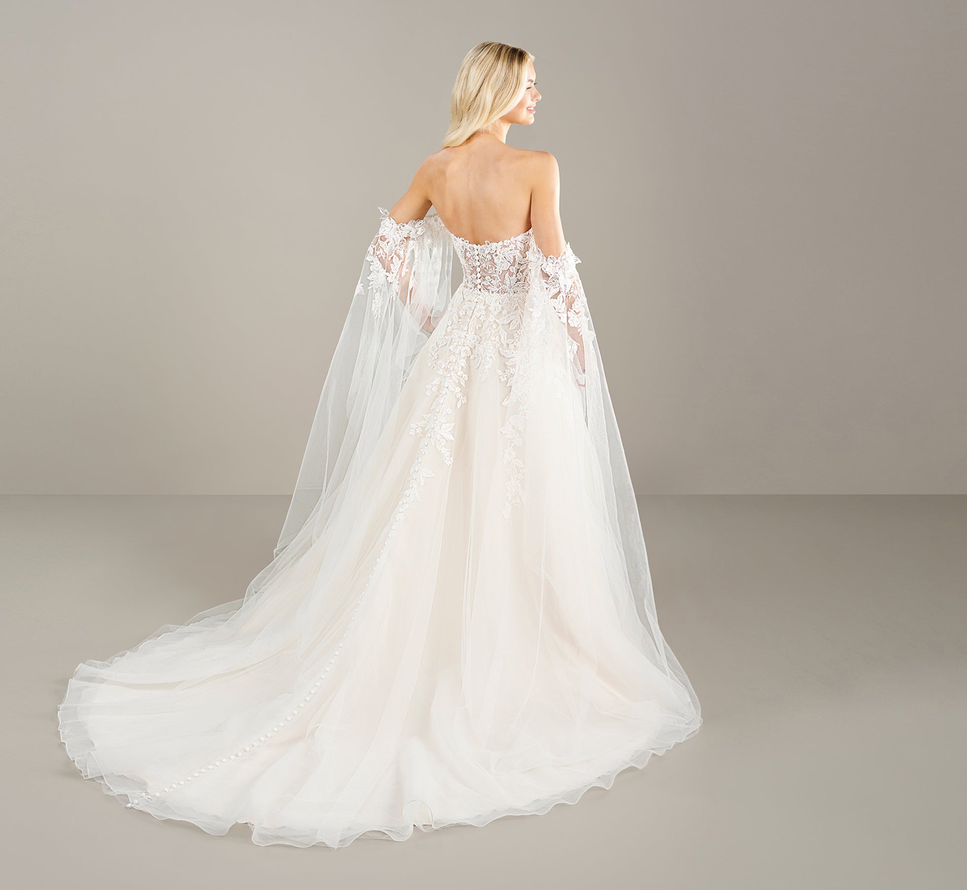 Strapless Lace Applique A Line With Detachable Sleeve Gown In Ivory Almond、mySite、solidvoid