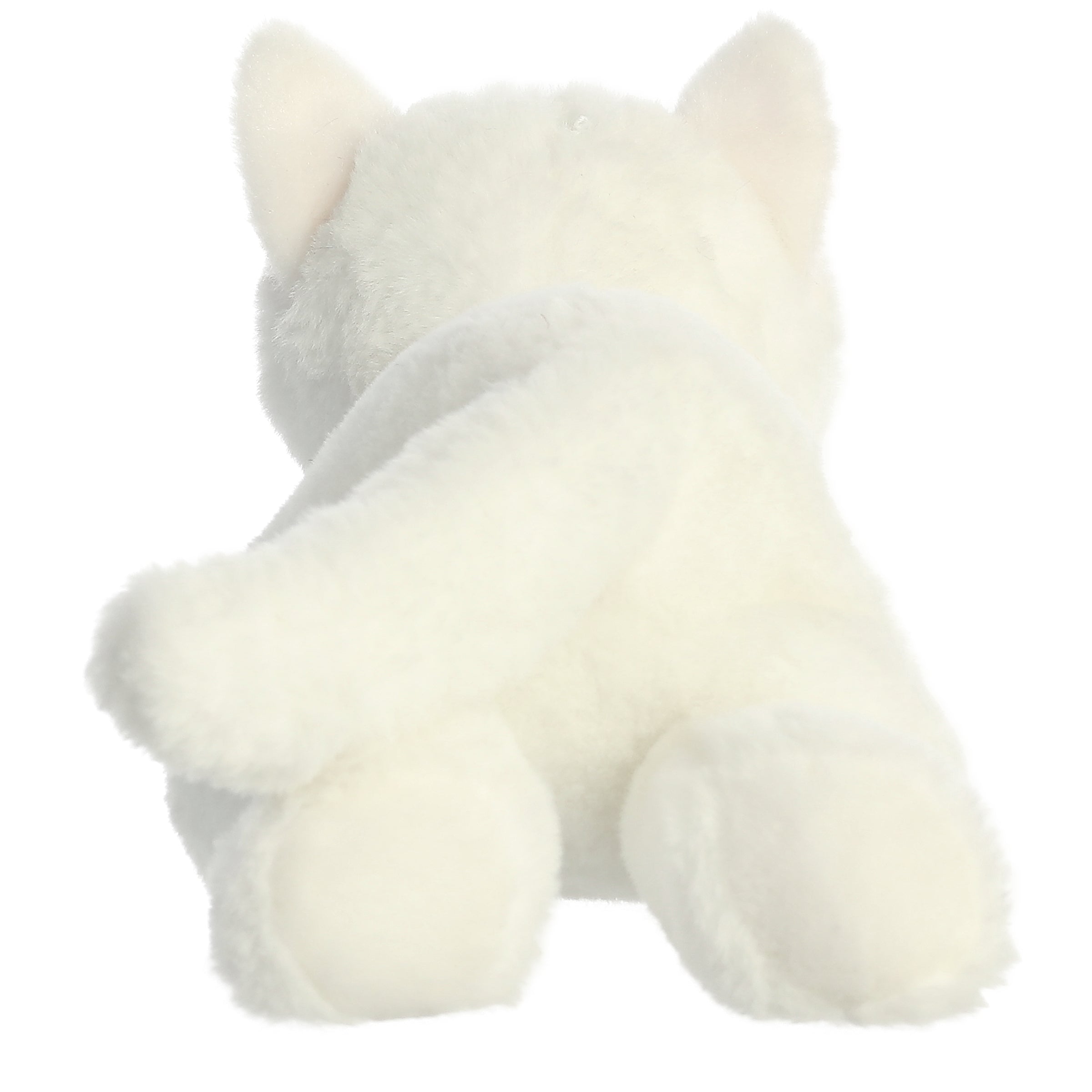 Aurora® - Flopsie™ - 12 Precious White Kitty™、mySite、g9winljtr