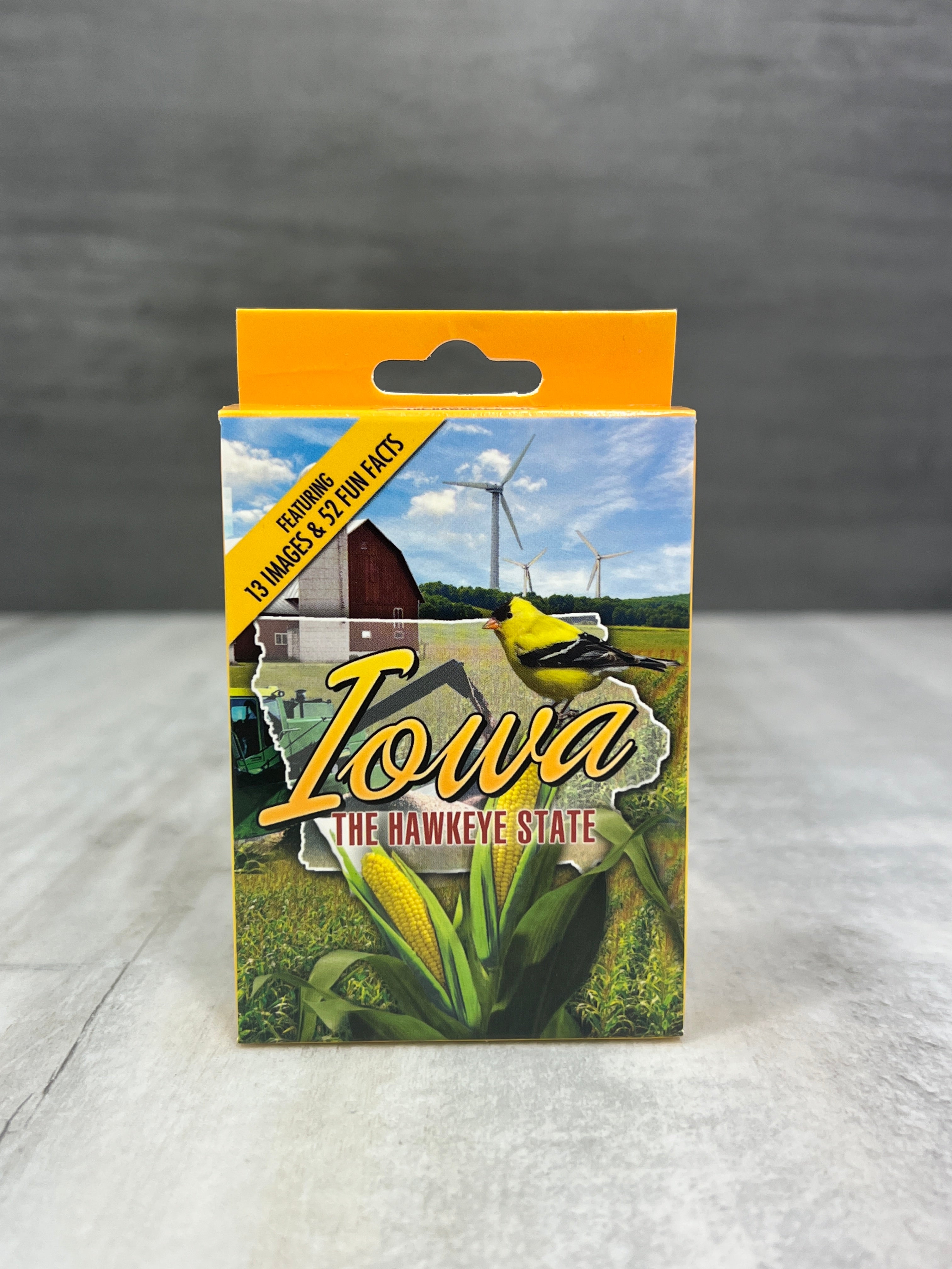 Hawkeye State Playing Cards、mySite、garagedoors4me