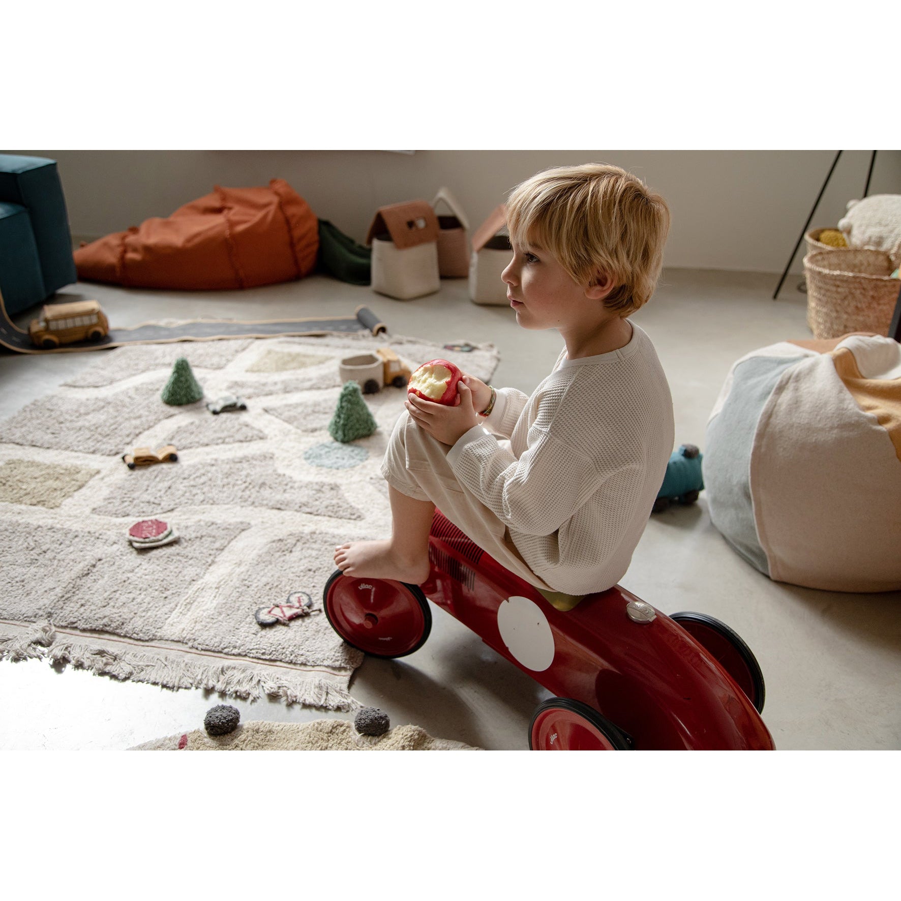 Eco-City Washable Area Rug、mySite、gigharbornorthrealestate