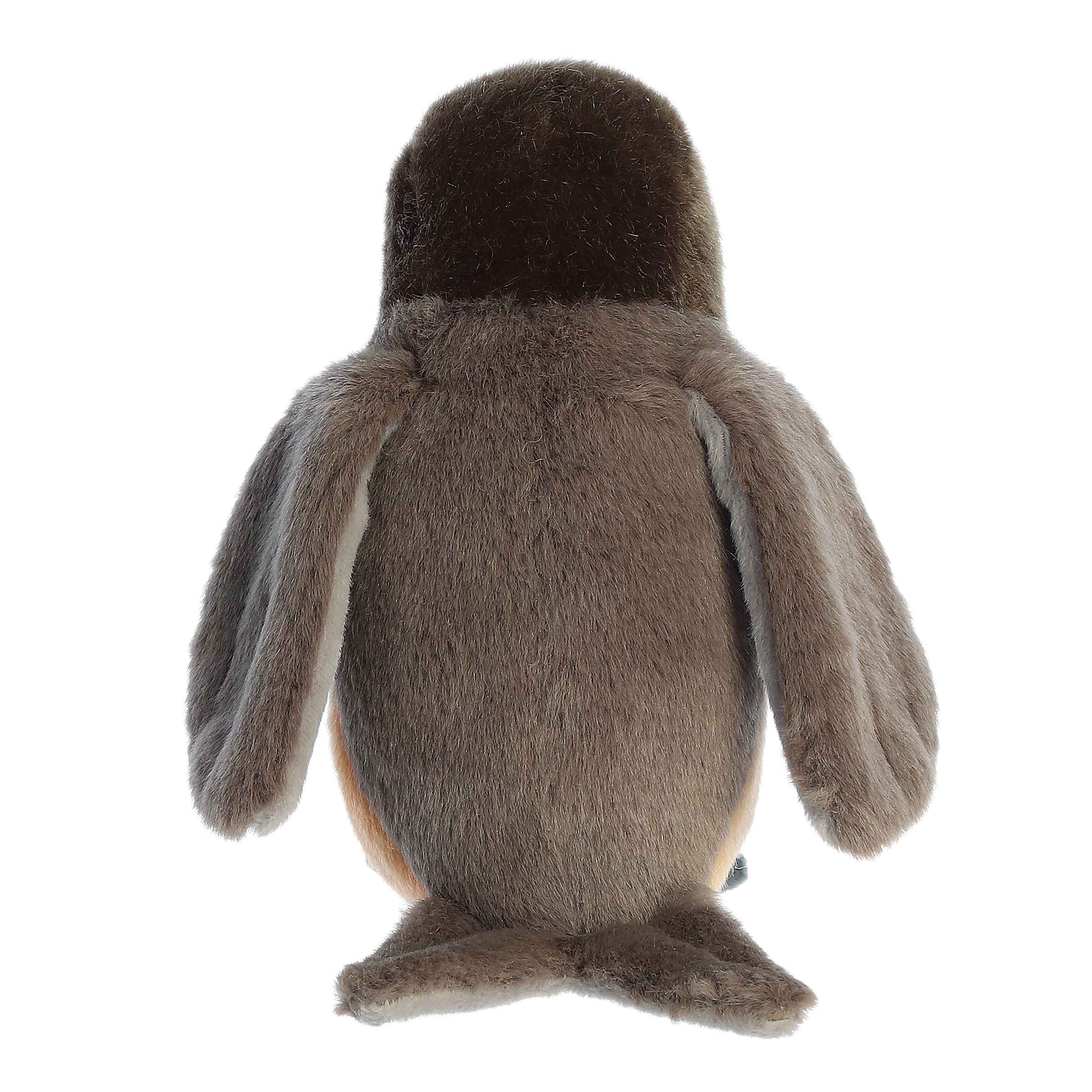 Aurora® - Miyoni® - 6.5 Robin、mySite、g9winljtr