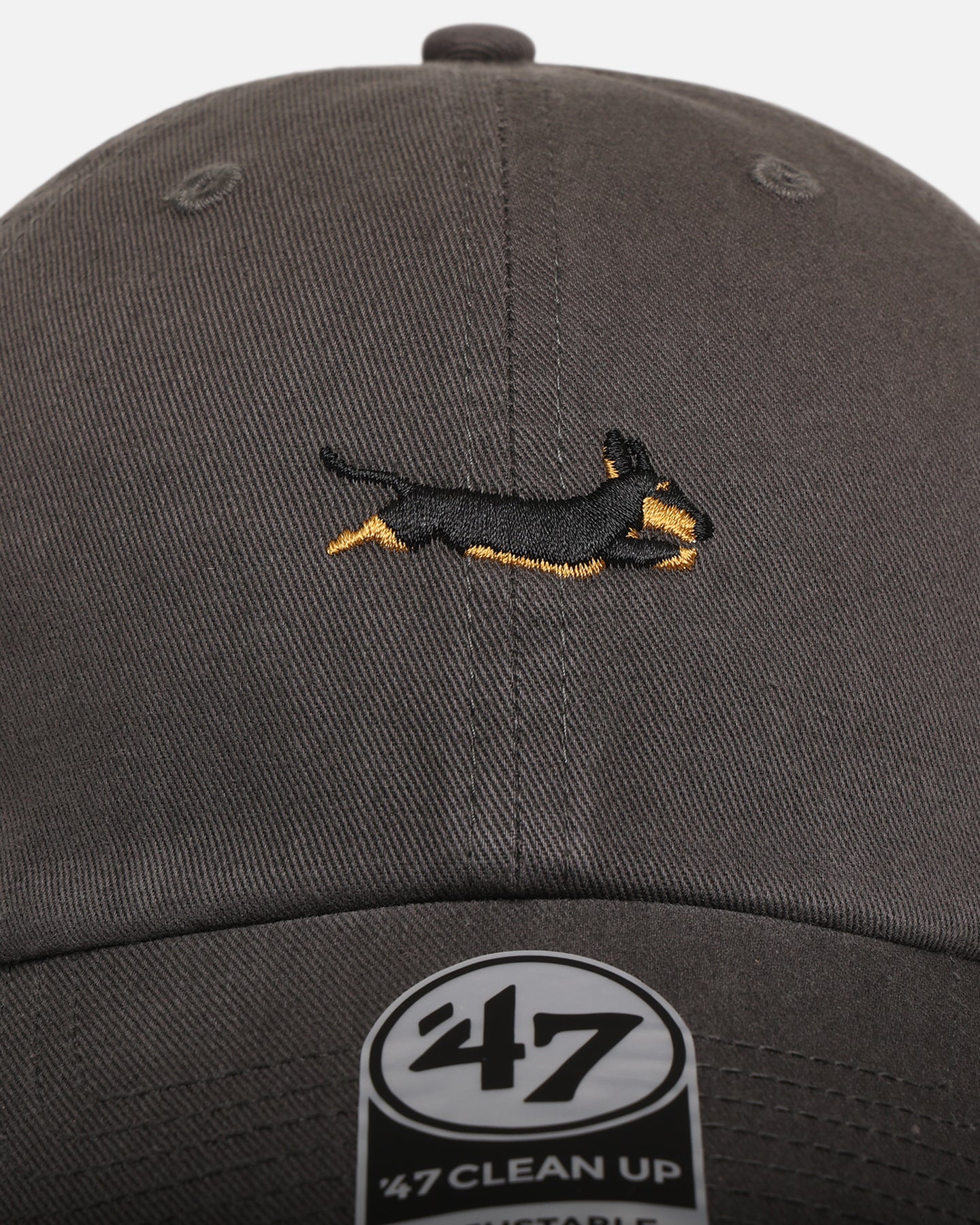 47 Brand Dachshund 'Dog Collection' 47 Clean Up Strapback Charcoal、mySite、zt4zffjzw