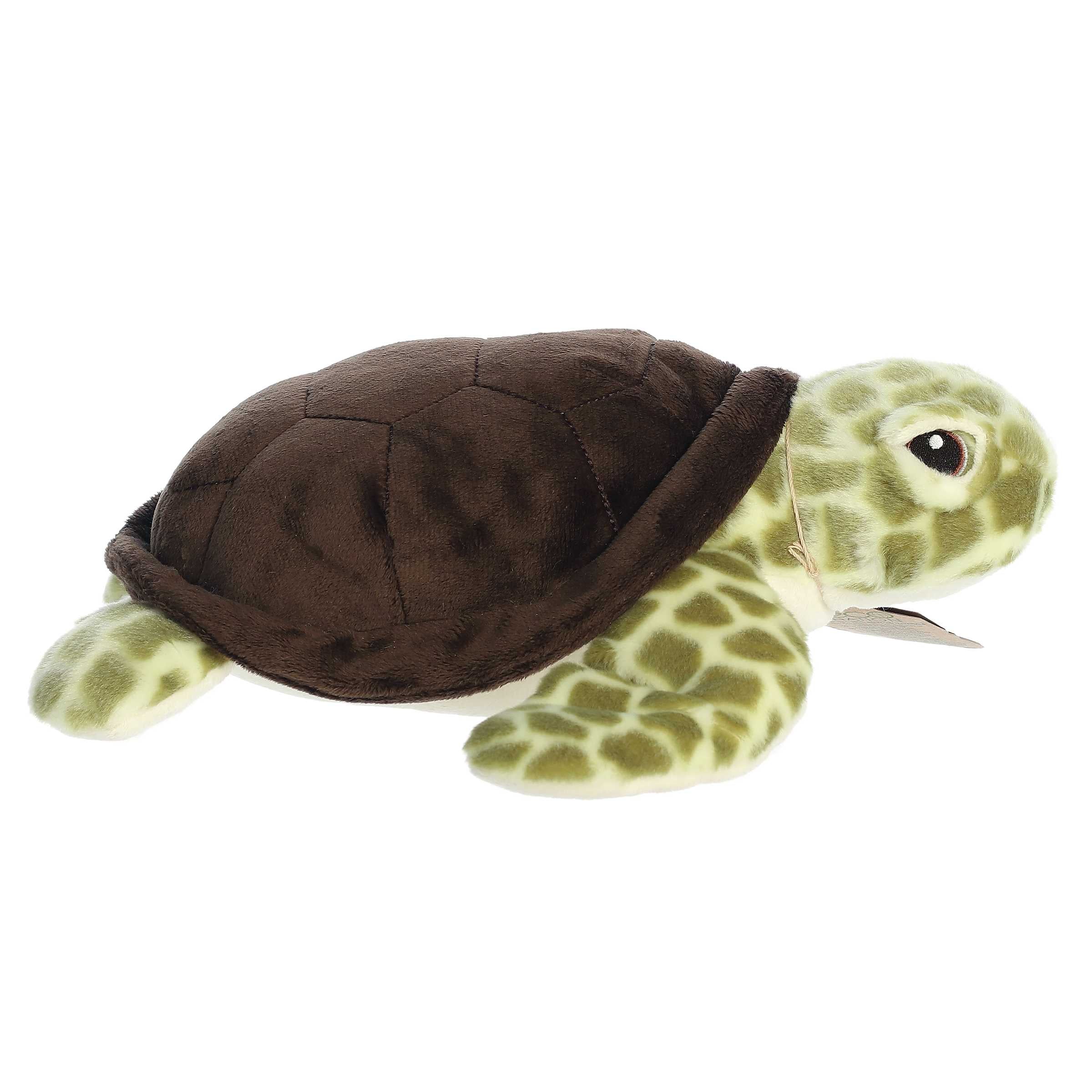 Aurora® - Eco Nation™ - Eco Hugs™ - 12 Sea Turtle、mySite、g9winljtr