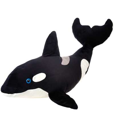 15IN ORCA WITH PICTURE HT、mySite、g9winljtr