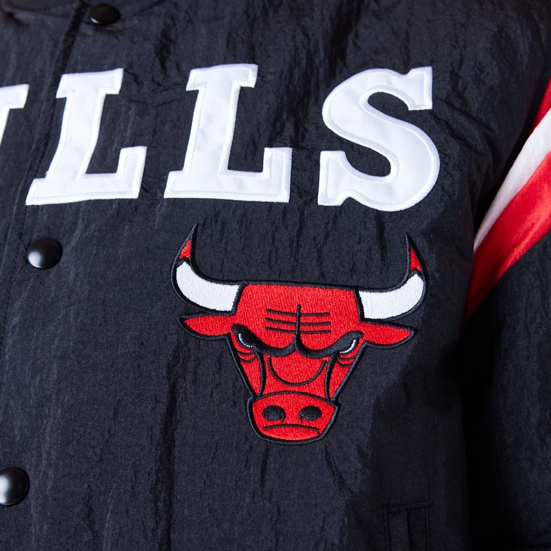 Chicago Bulls NBA Panel Black Bomber Jacket、mySite、vikingsvslions