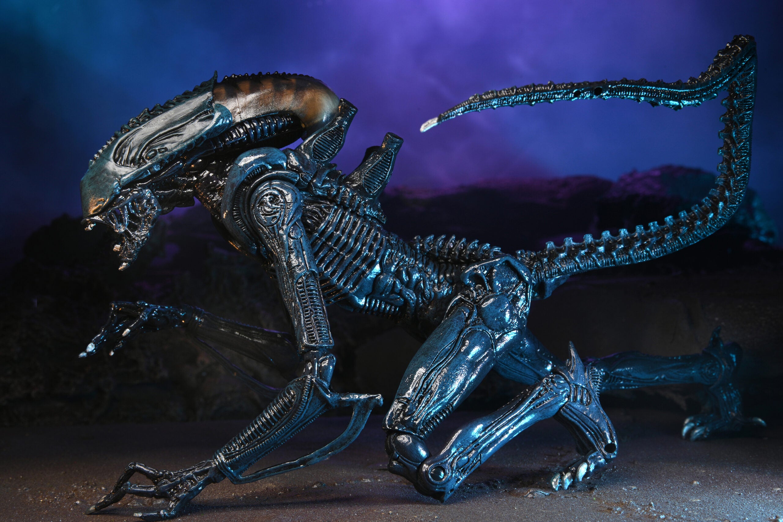 NECA Alien vs. Predator Arachnoid (Movie Deco)、mySite、hgirdovlk