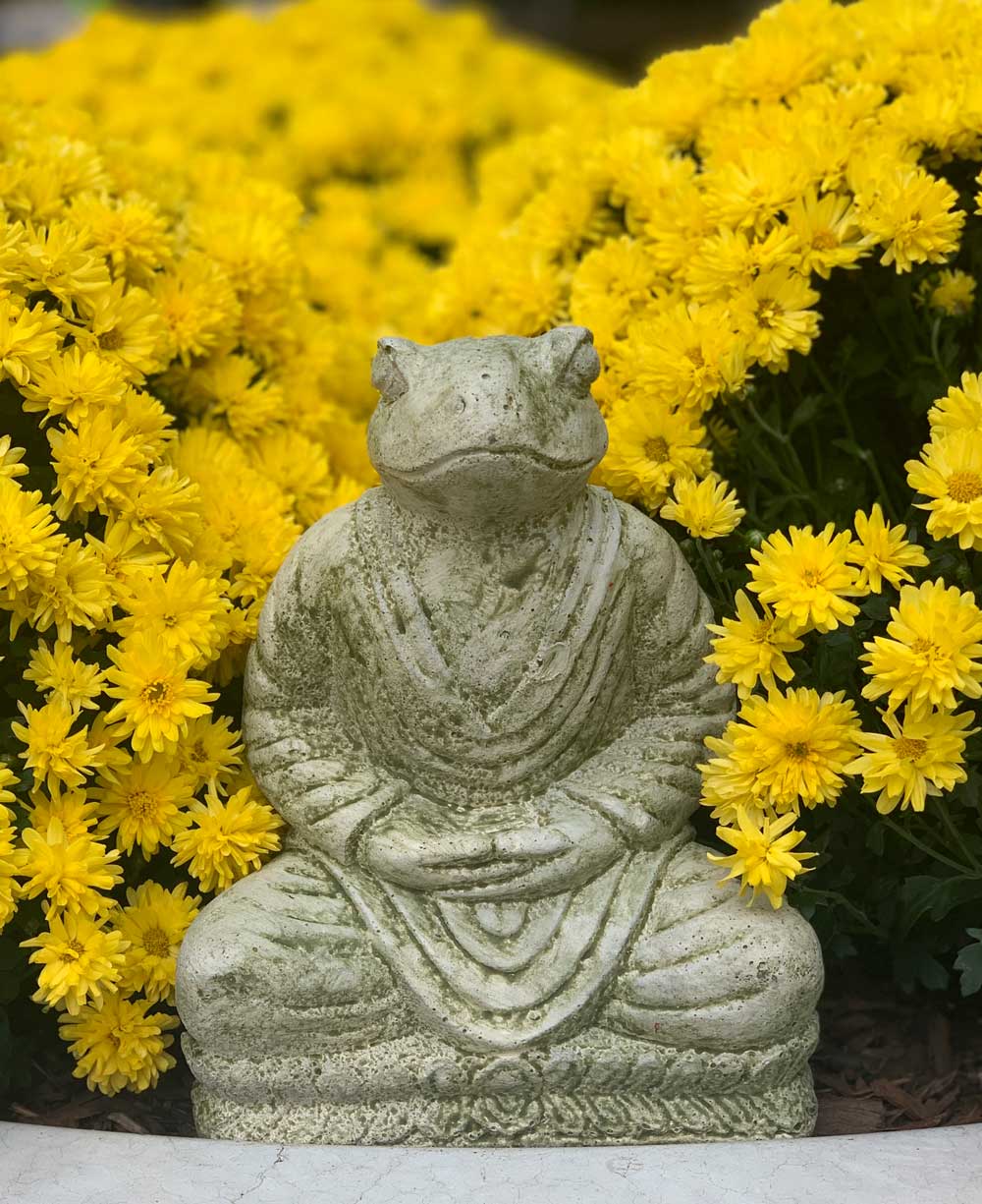 Cast Stone Meditating Zen Frog Statue USA Made、mySite、topwebapps