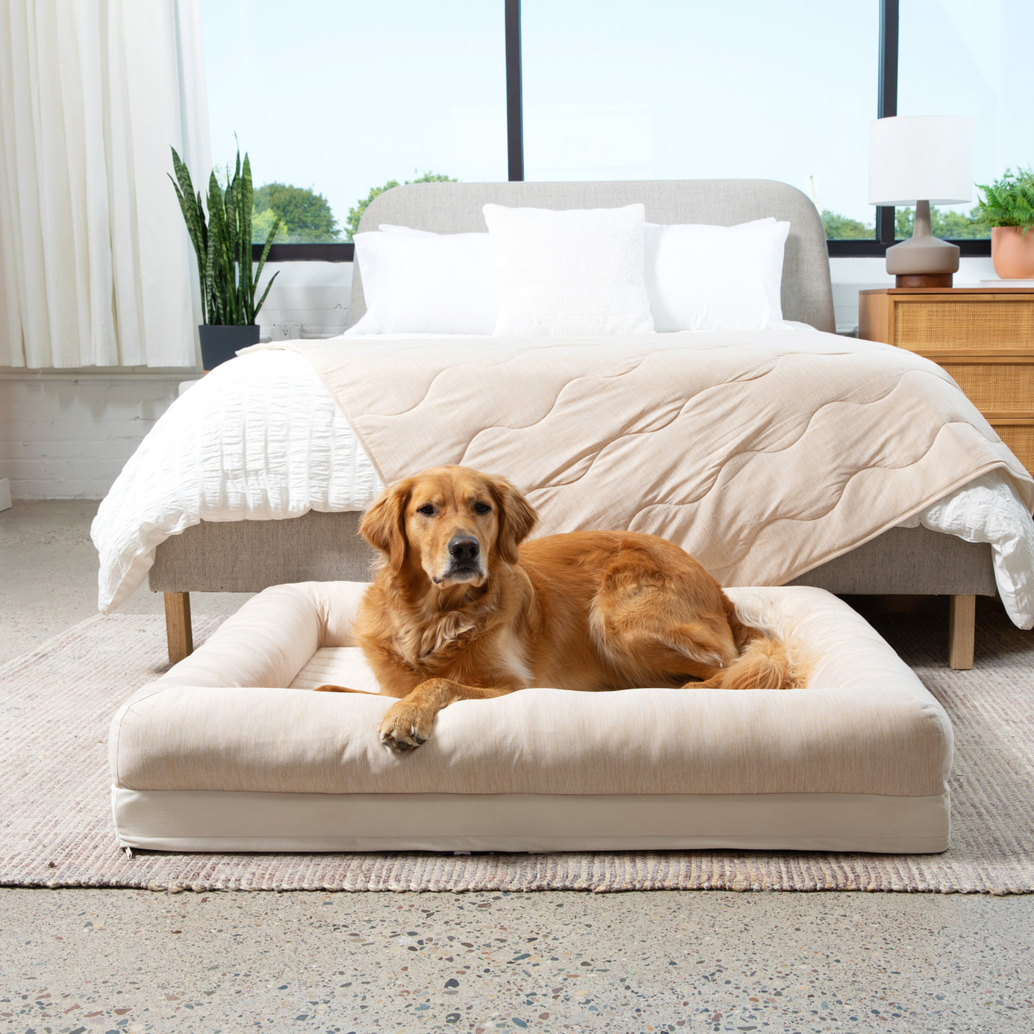 PupChill™ Cooling 4-Bolster Dog Bed - Arctic Sand、mySite、solidvoid