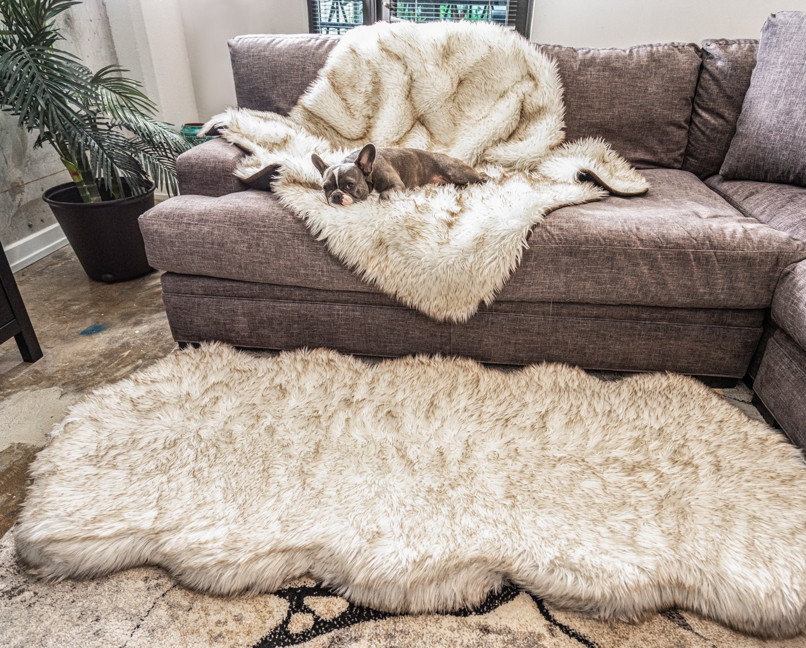PupRug™ Orthopedic Runner Bed + Matching Waterproof Blanket Bundle - White with Brown Accents、mySite、solidvoid