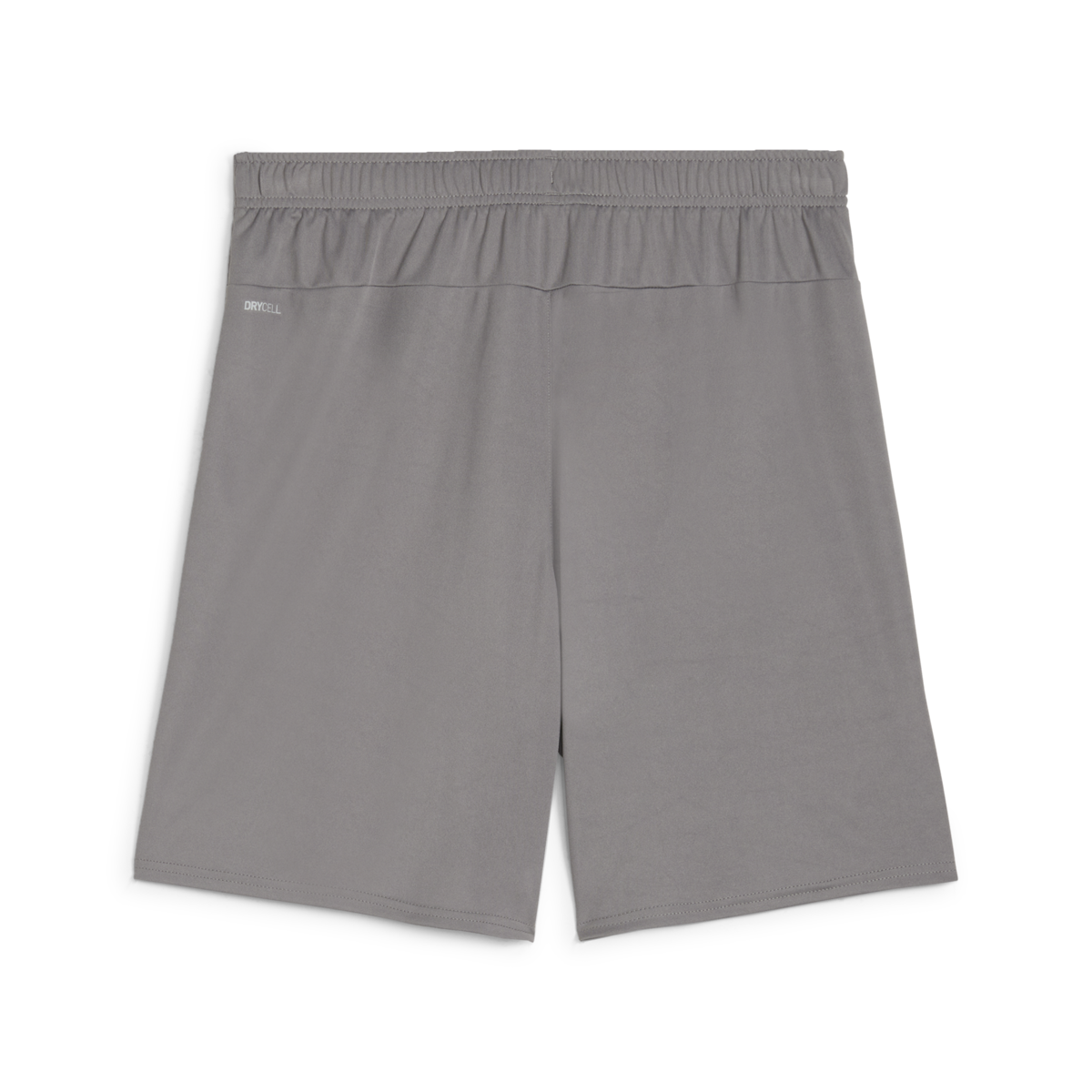 Puma Teamgoal Shorts - Grey、mySite、noshort
