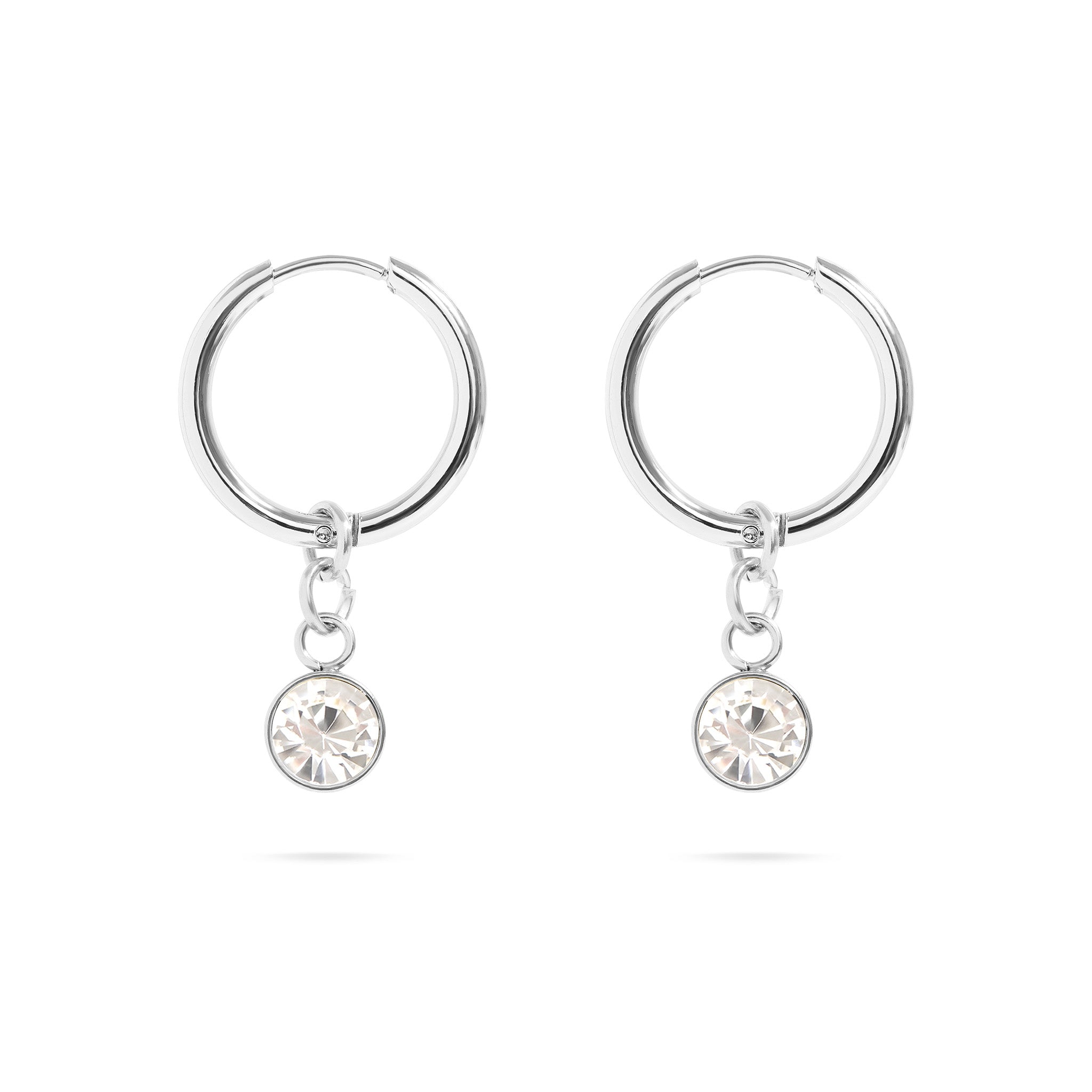 Stainless Steel Birthstone Huggie Earrings / ERJ0073、mySite、dreamappss