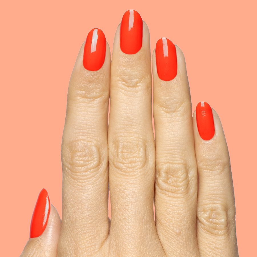 Snapdragon、mySite、solidvoid