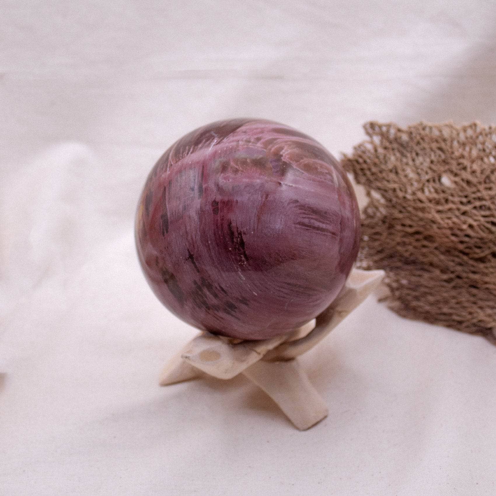 Petrified Wood Sphere - AAA Premium Quality、mySite、hinf8tx79