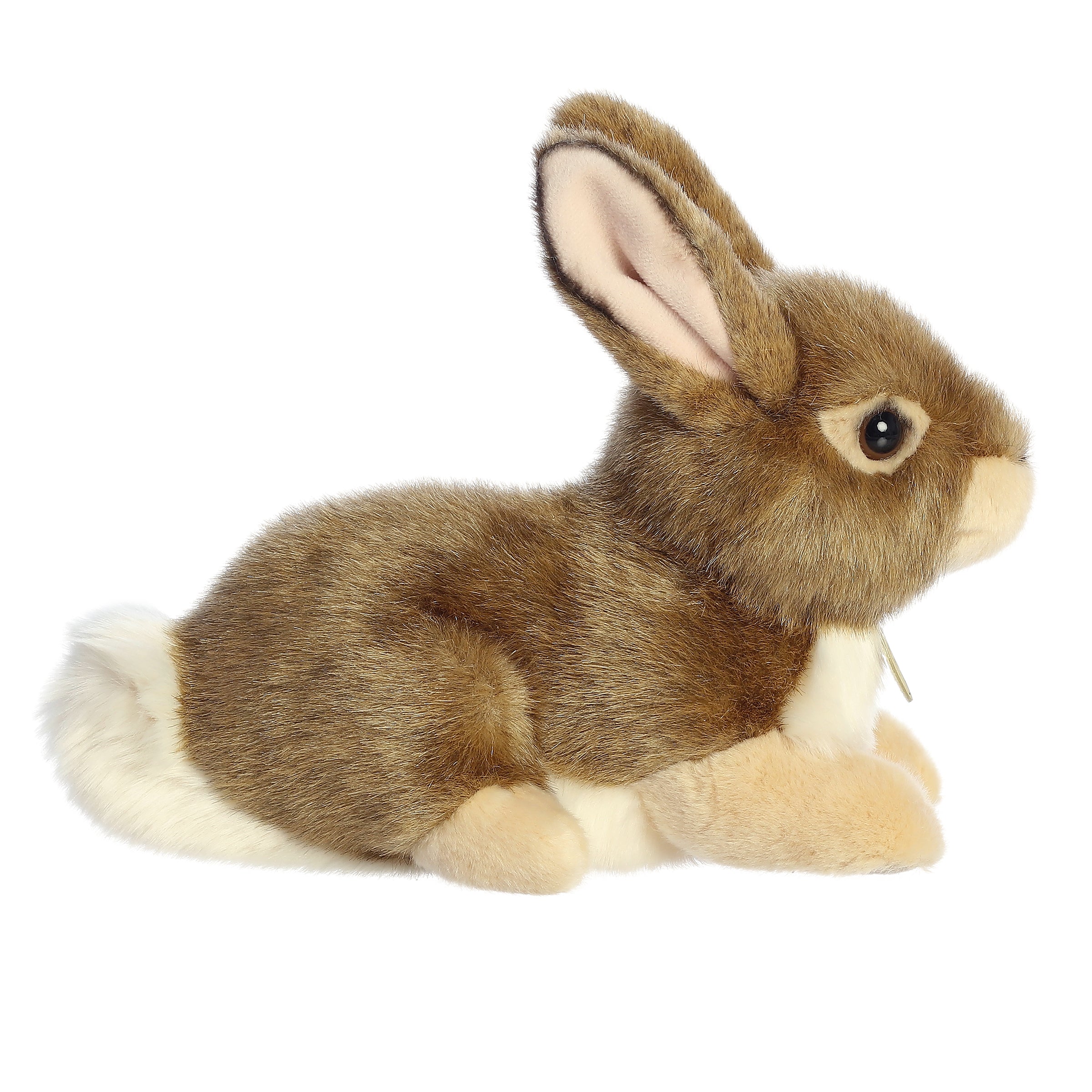 Aurora® - Miyoni® - 11 Eastern Cottontail Rabbit、mySite、g9winljtr