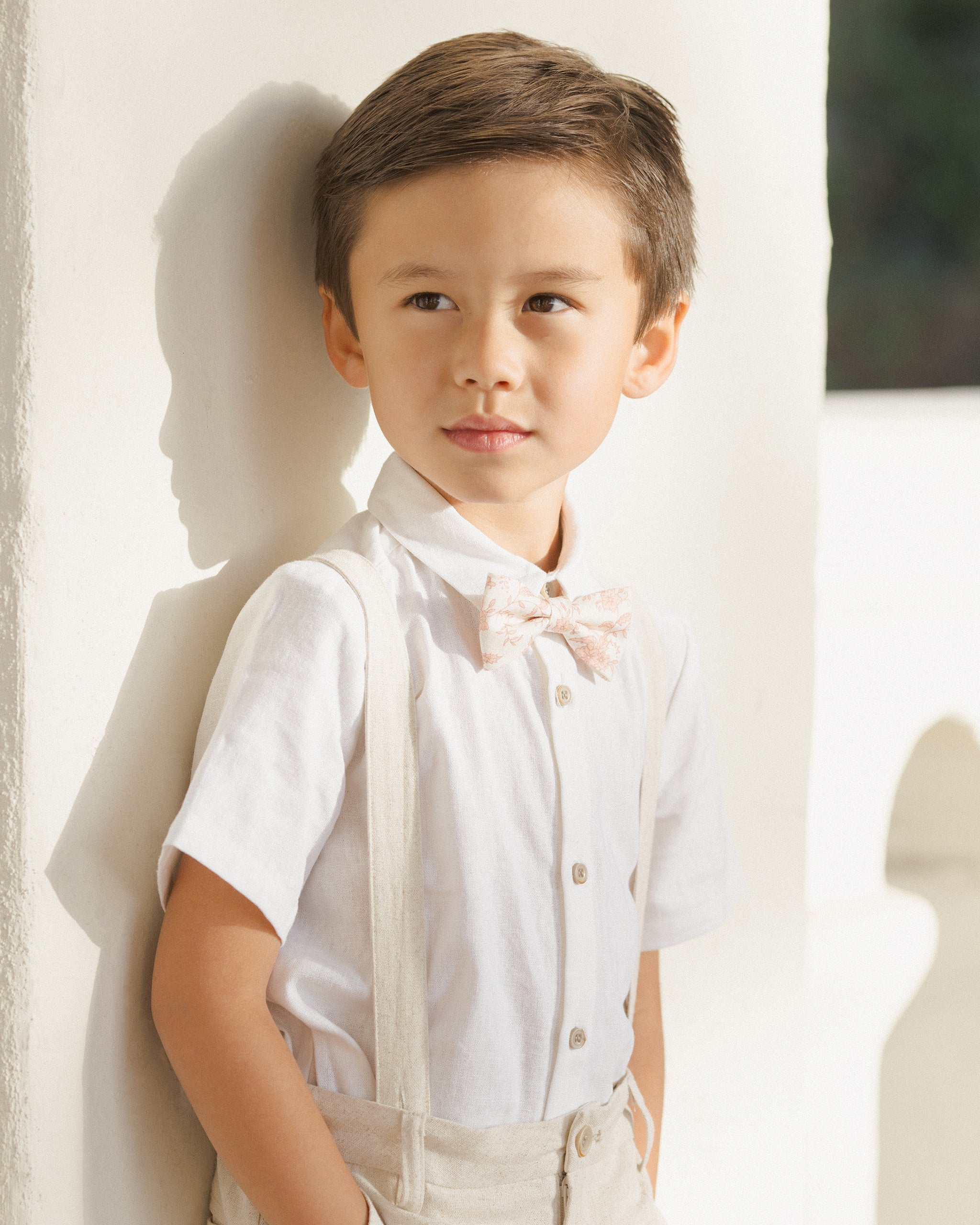  Bow Tie || Pink Toile、mySite、layawaytickets