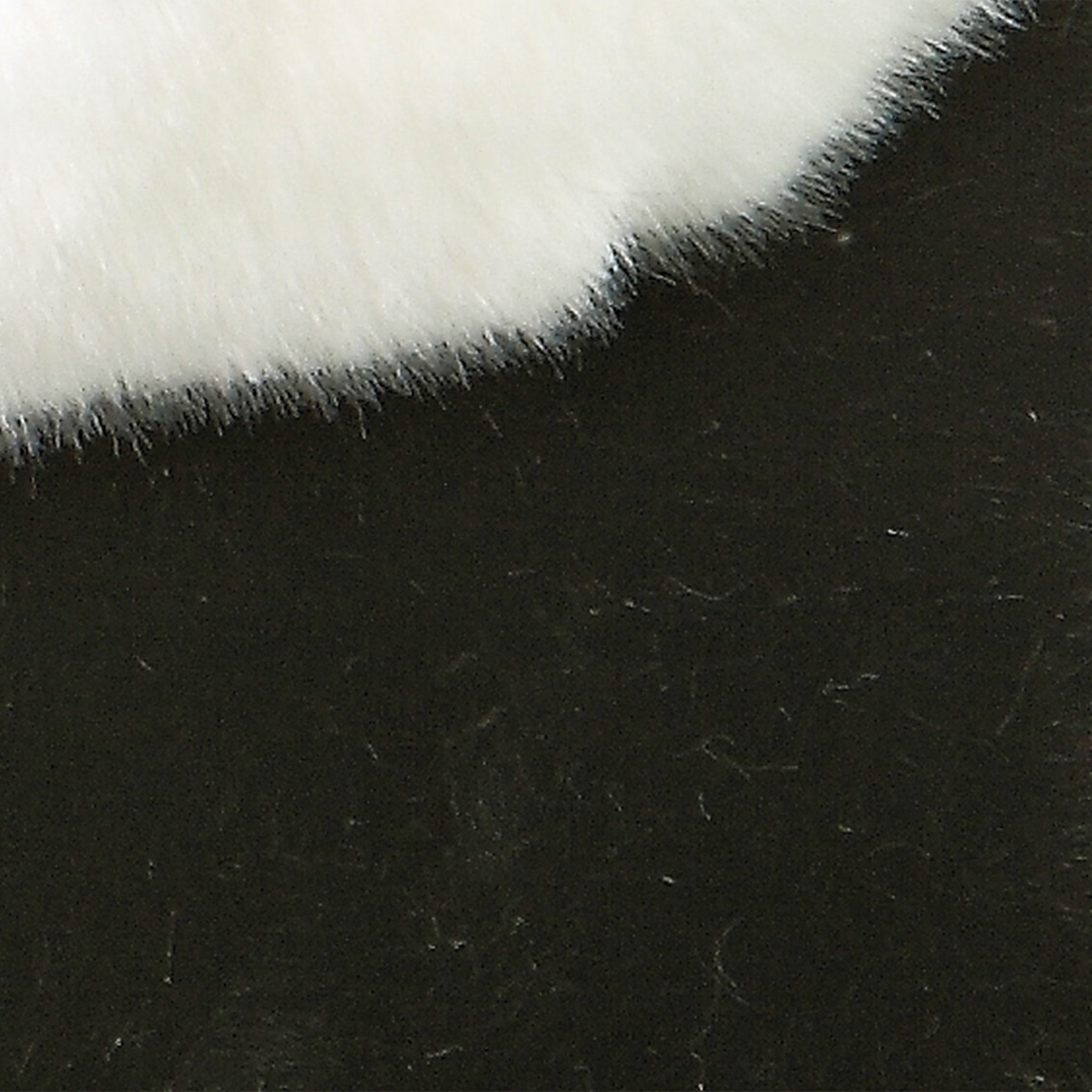 Aurora® - Miyoni® - Panda、mySite、g9winljtr