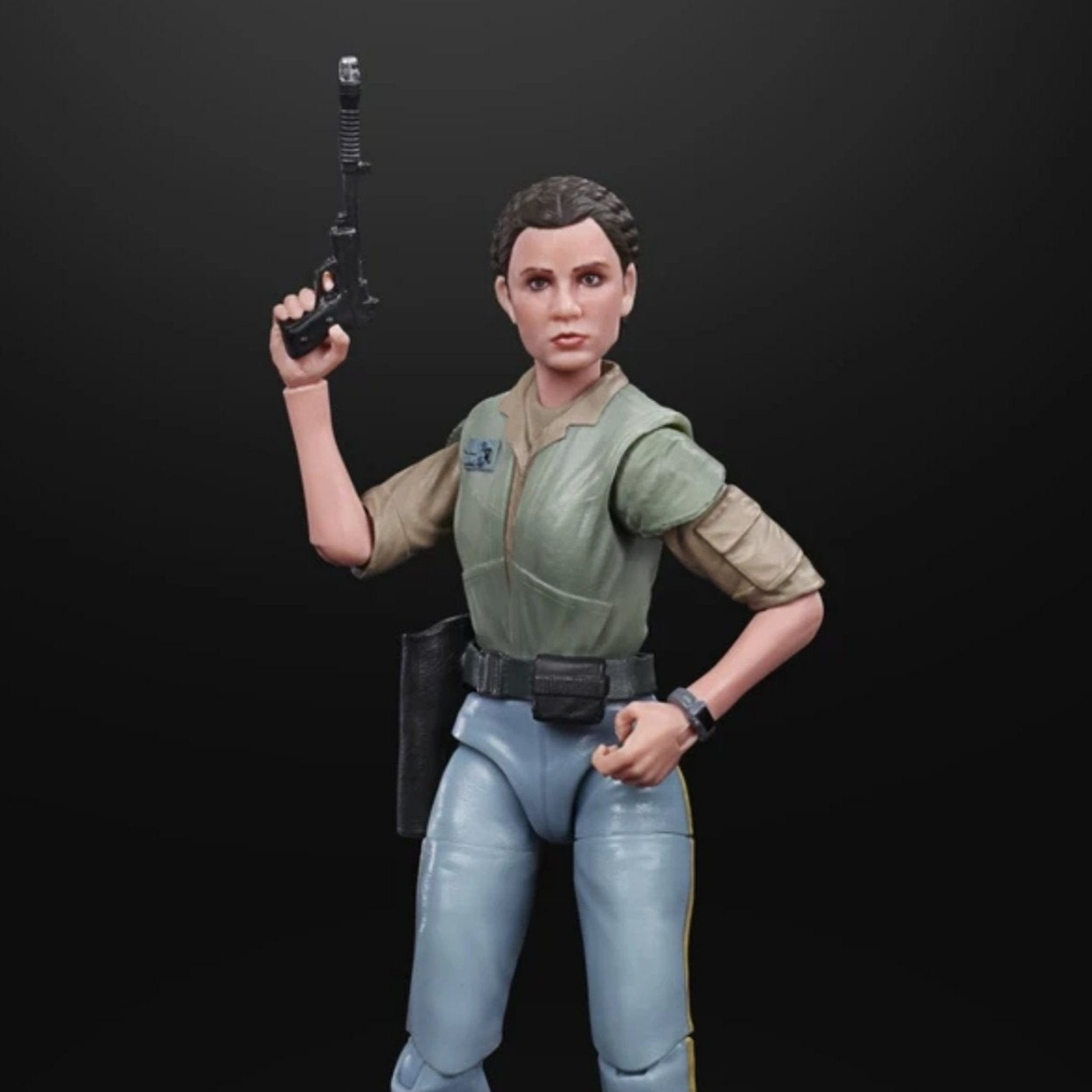 Star Wars: The Black Series 6 Endor Leia (Return of the Jedi)、mySite、hgirdovlk