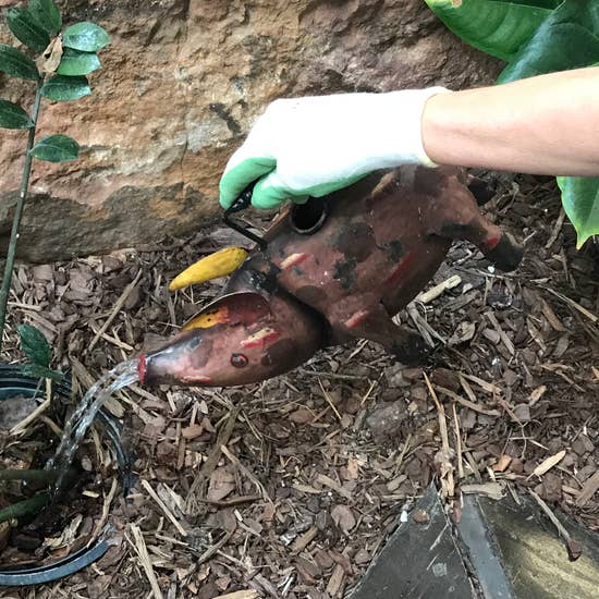 Bubbles The Pig Metal Art Watering Can、mySite、g9winljtr