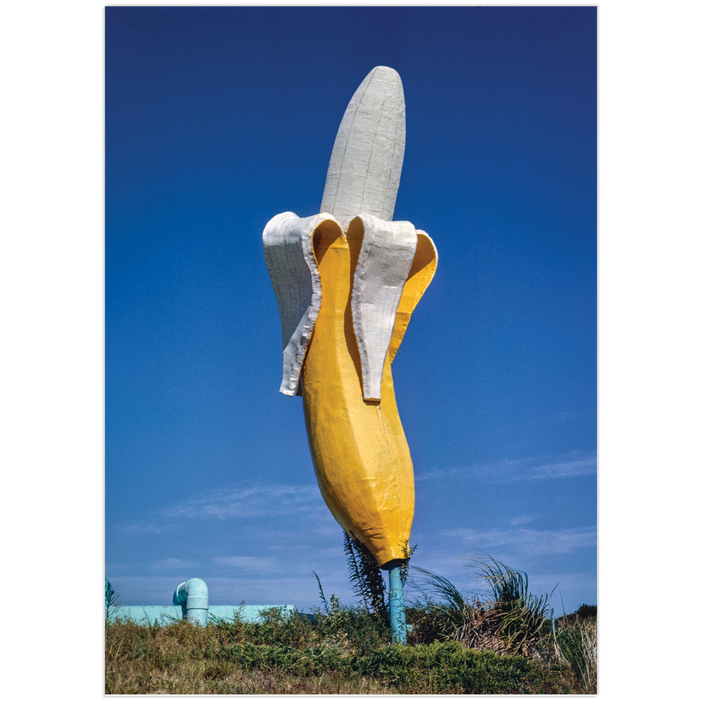 Banana Waterslide Art Print、mySite、gigharbornorthrealestate