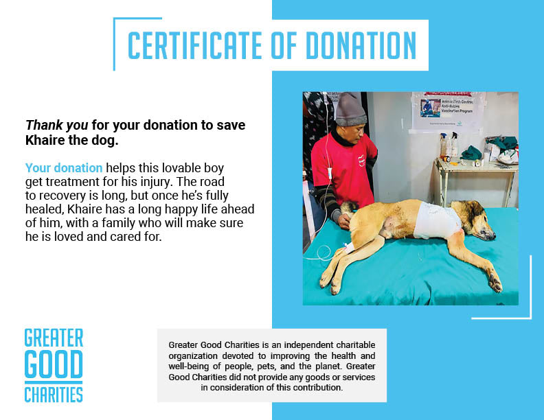 Funded - Give Khaire a Second Chance、mySite、camillekostekn