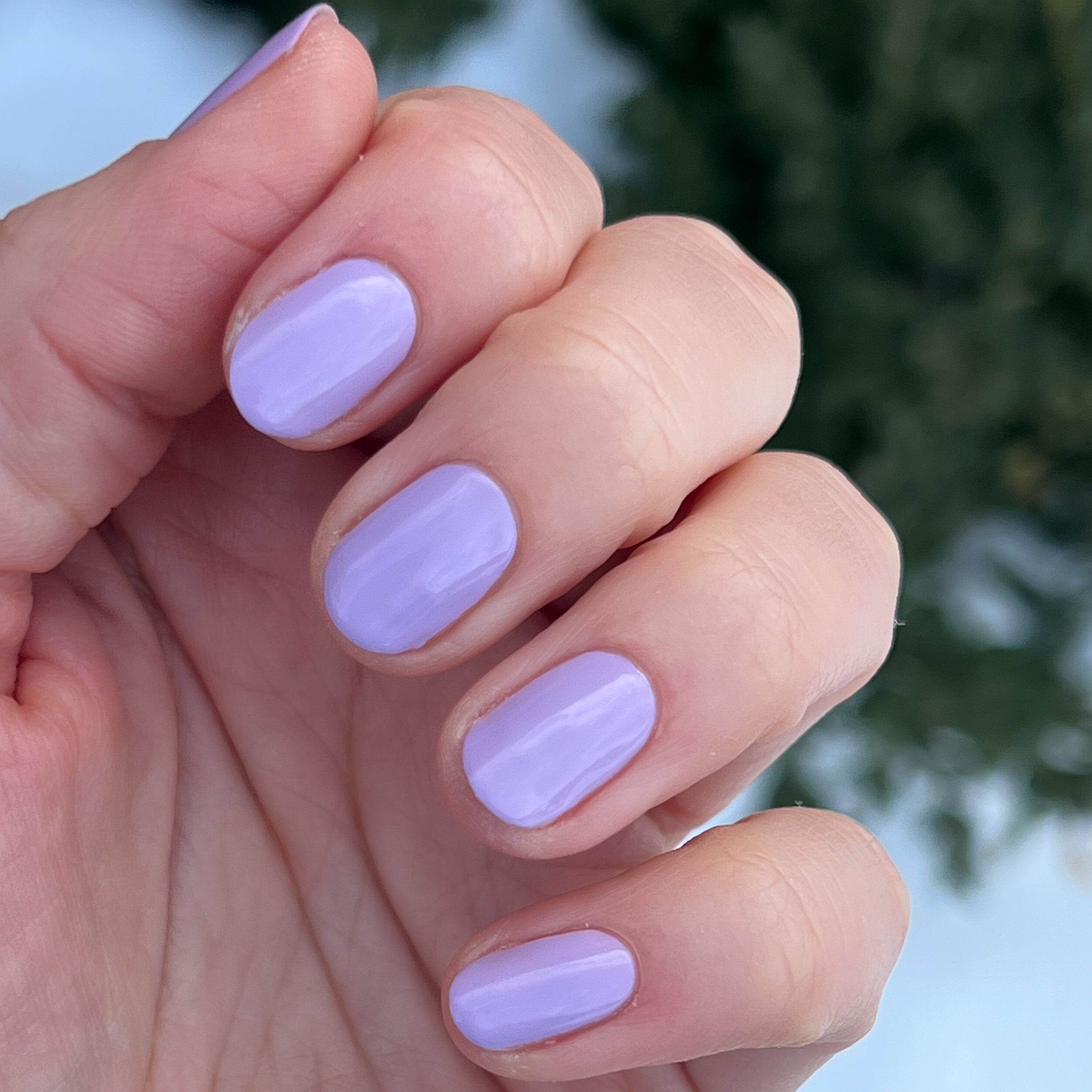 You're Invited、mySite、solidvoid