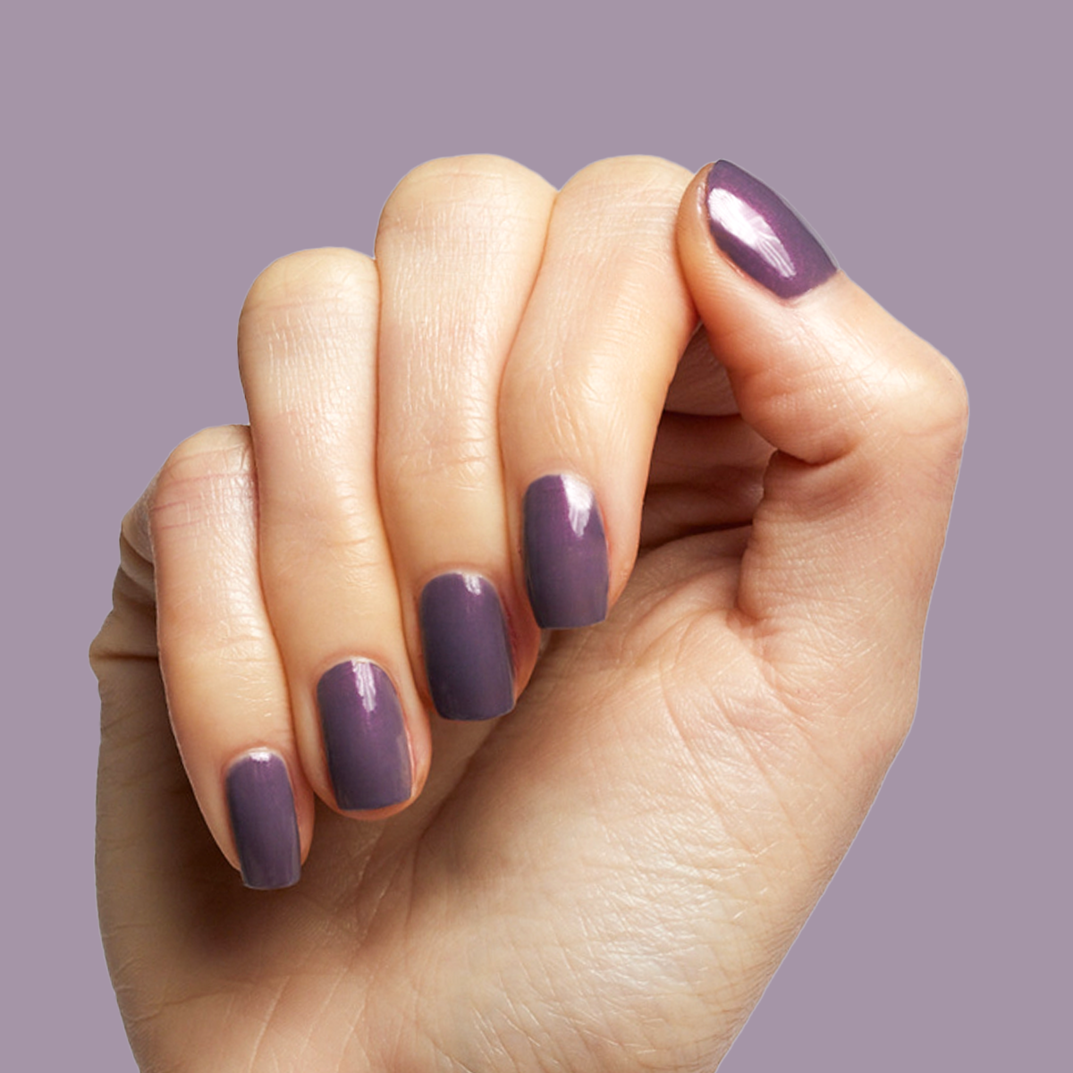 Twilight、mySite、solidvoid