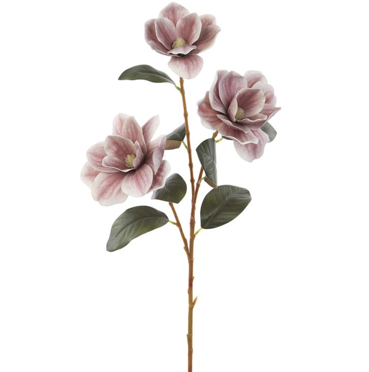  Mauve Magnolia Stem、mySite、elrpsem3k
