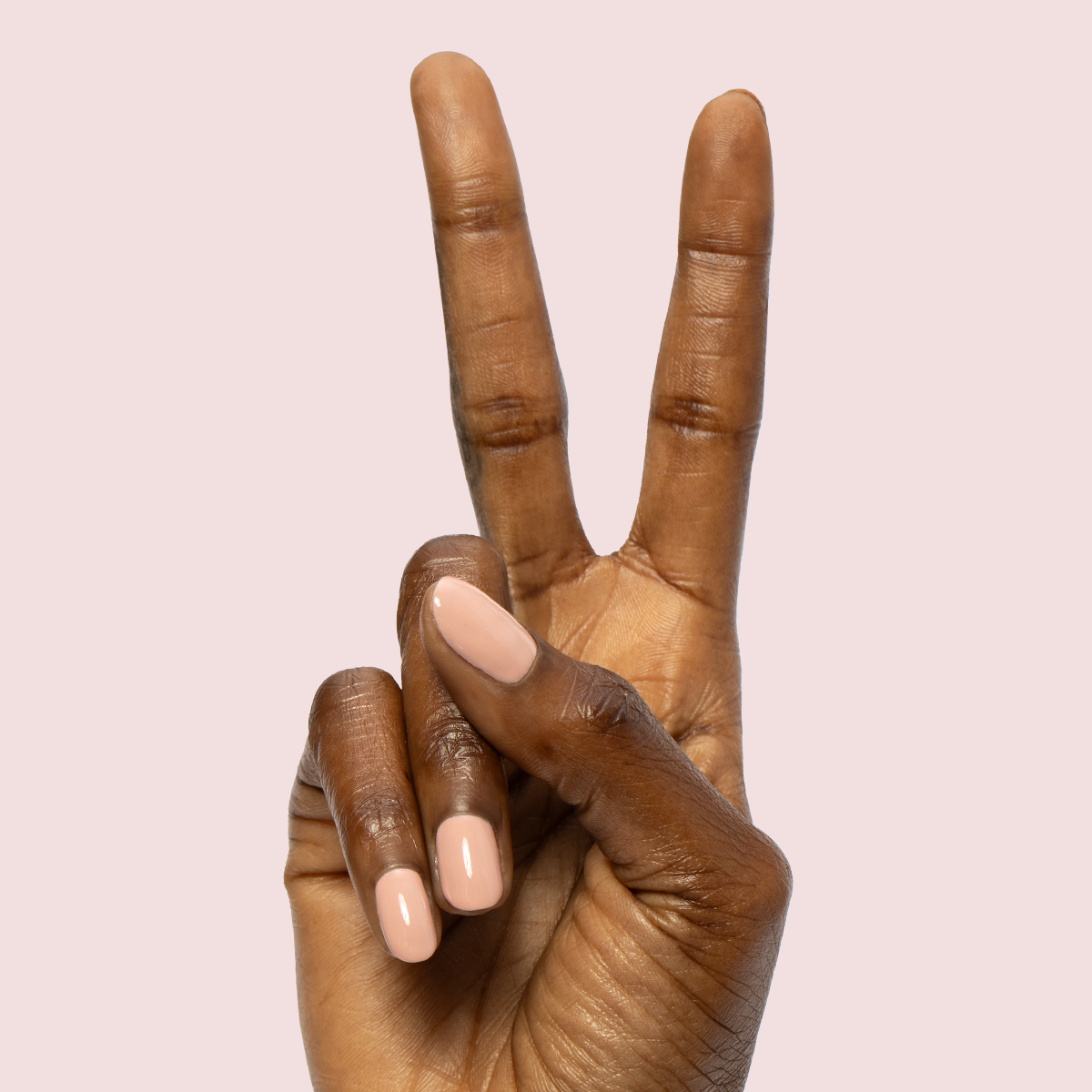 HZ - Gel、mySite、solidvoid