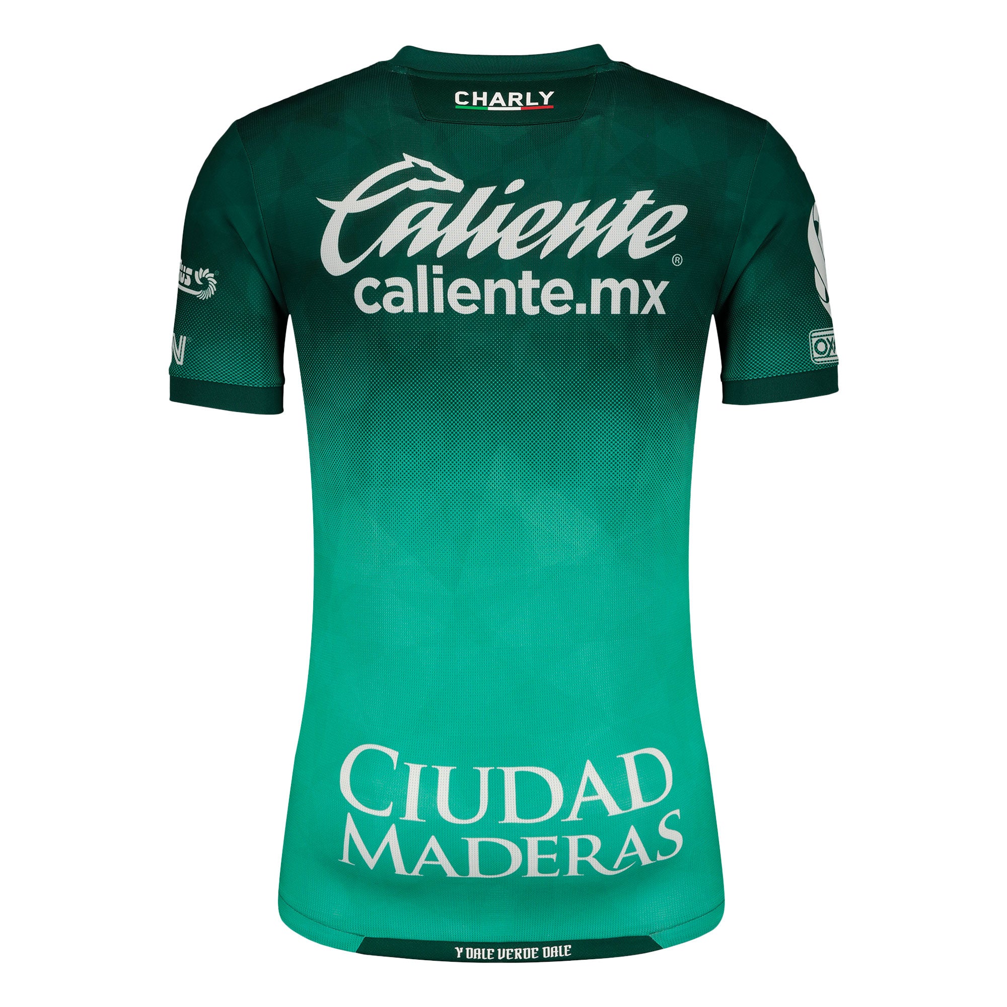 Charly Men's León 2021/22 Authentic Home Jersey Green/White、mySite、noshort