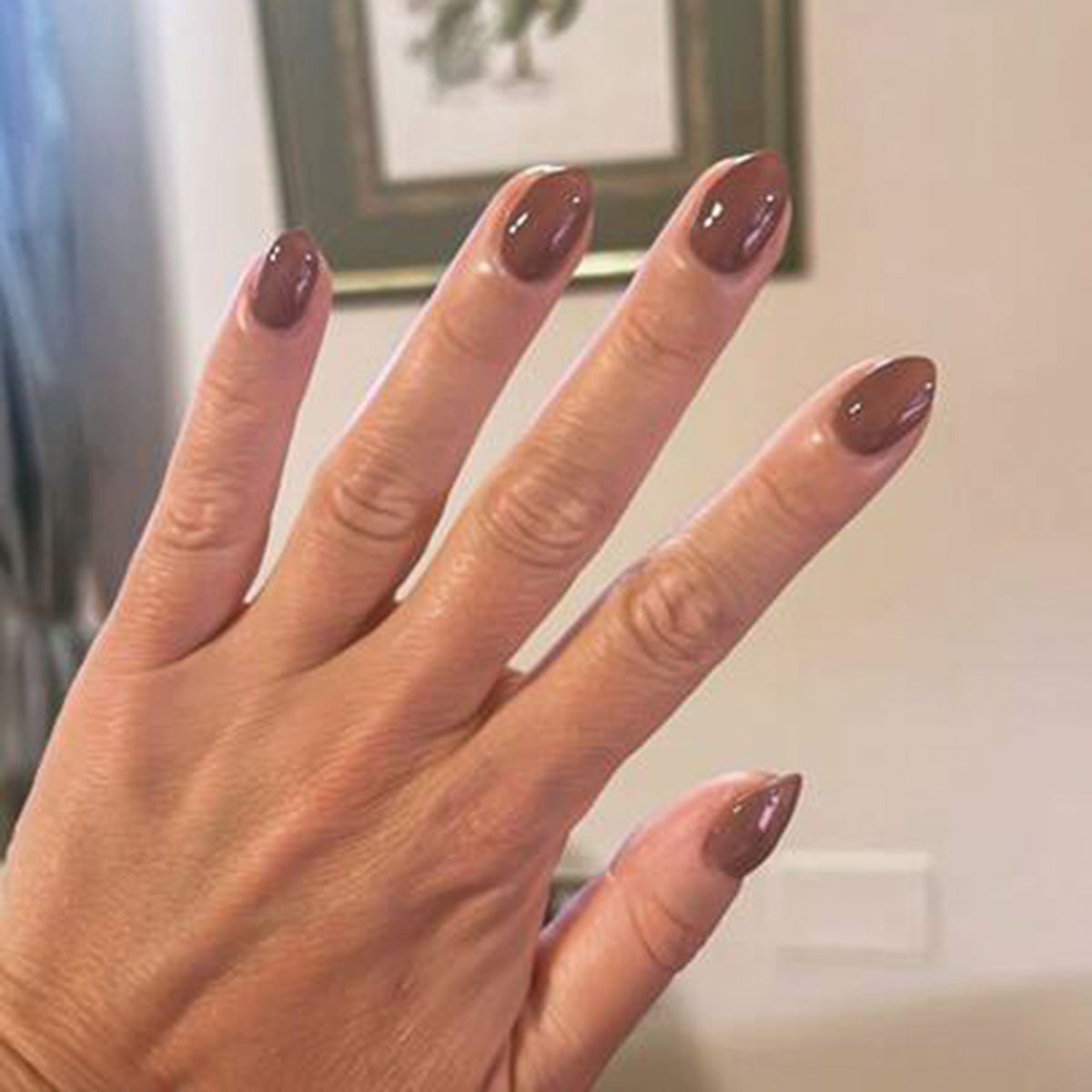 Shacket - Gel、mySite、solidvoid