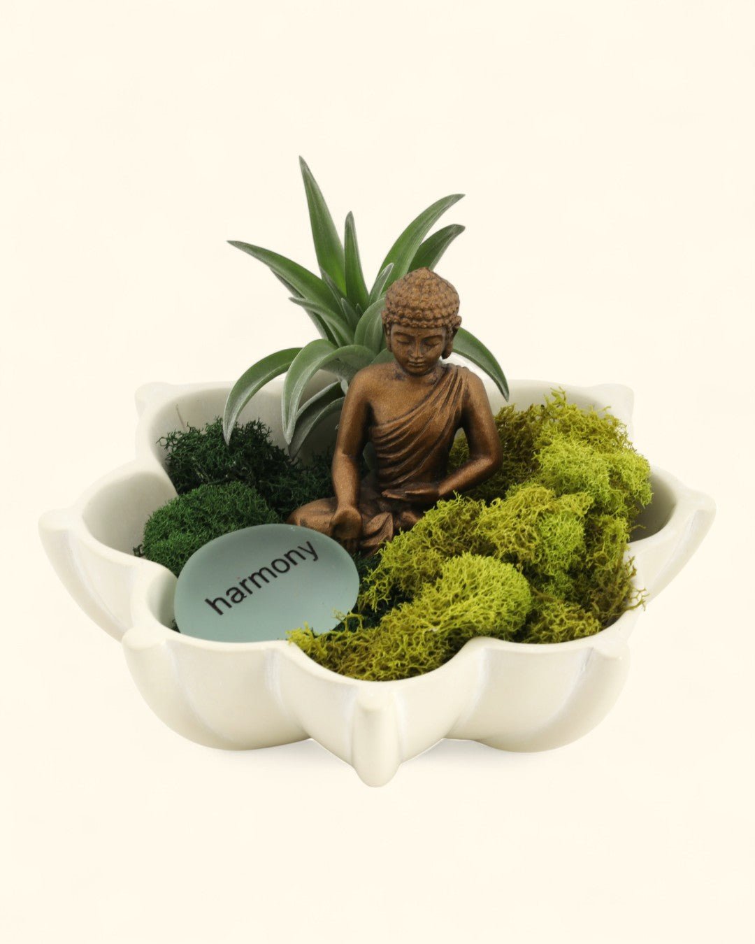 Harmony Zen Terrarium with Lotus Bowl、mySite、topwebapps