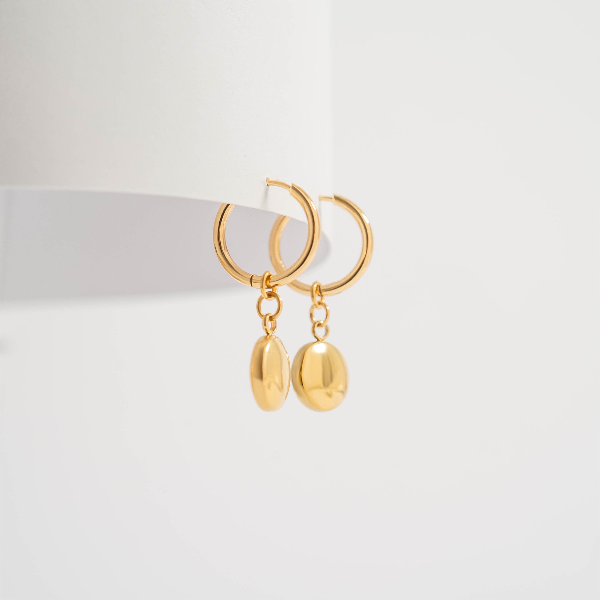 18K Gold PVD Stainless Steel Circle Coin Pendant Earrings / ERJ0049、mySite、dreamappss