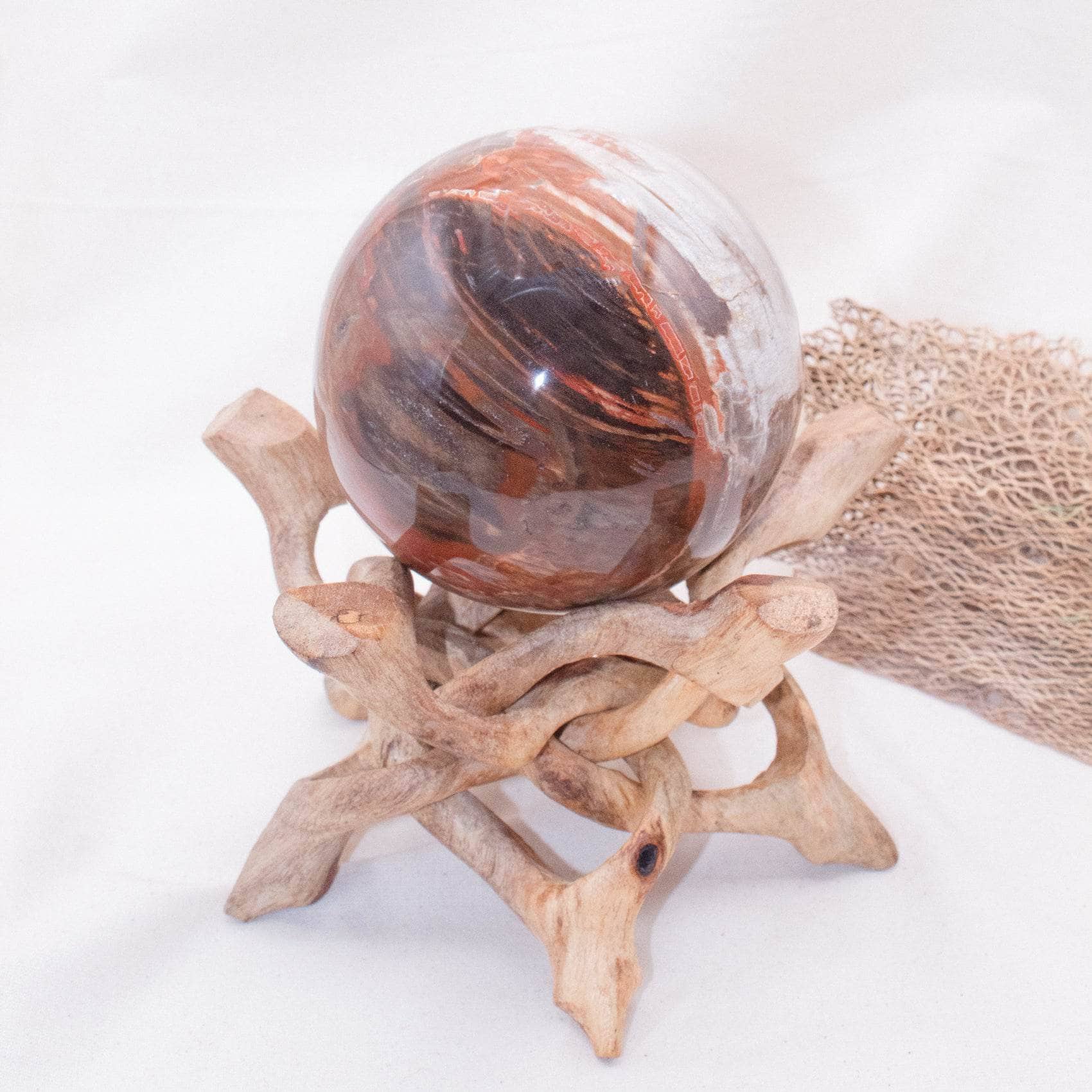 Petrified Wood Sphere - AAA Premium Quality、mySite、hinf8tx79
