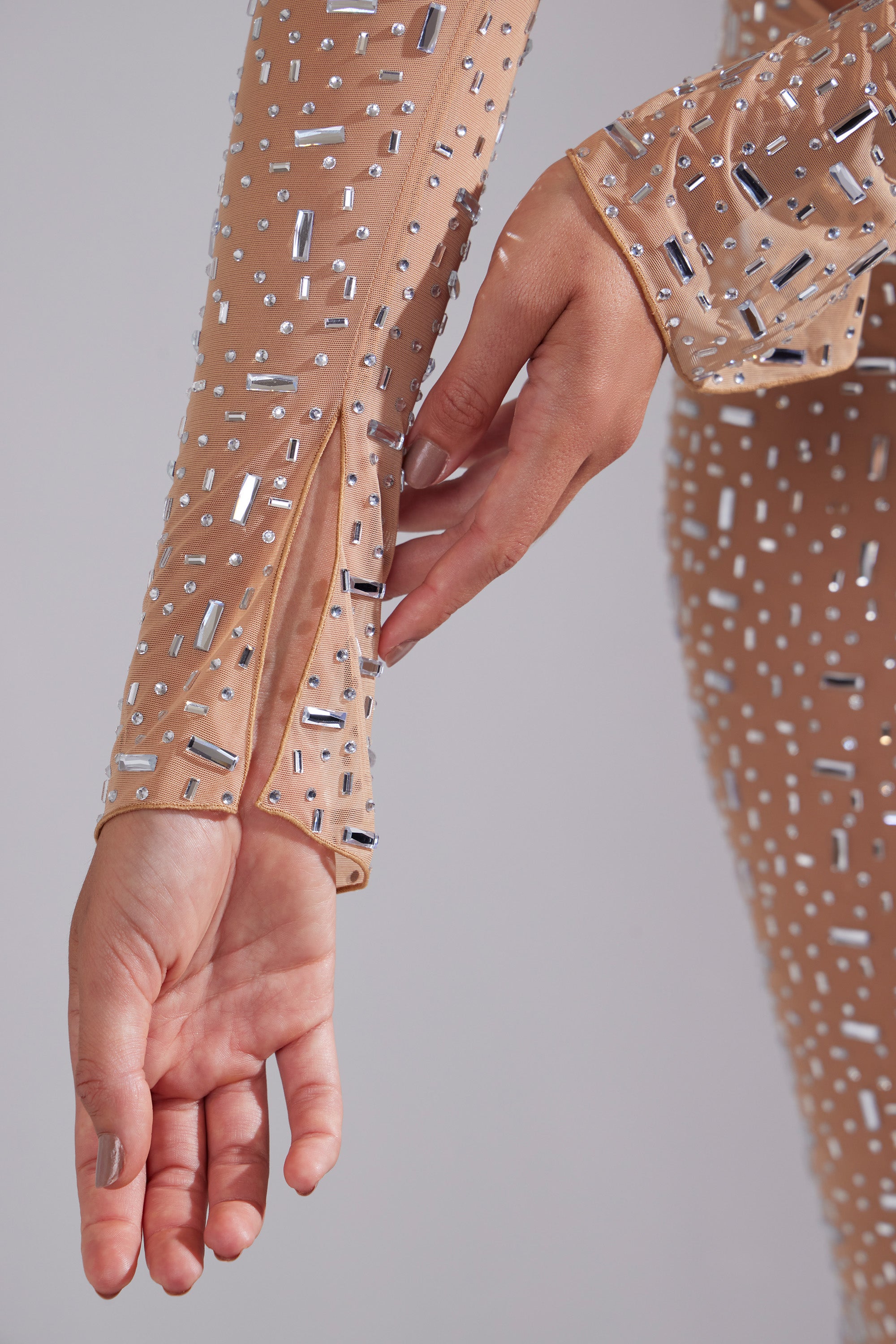 Sheer Embellished Long Sleeve Crop Top in Almond、mySite、solidvoid