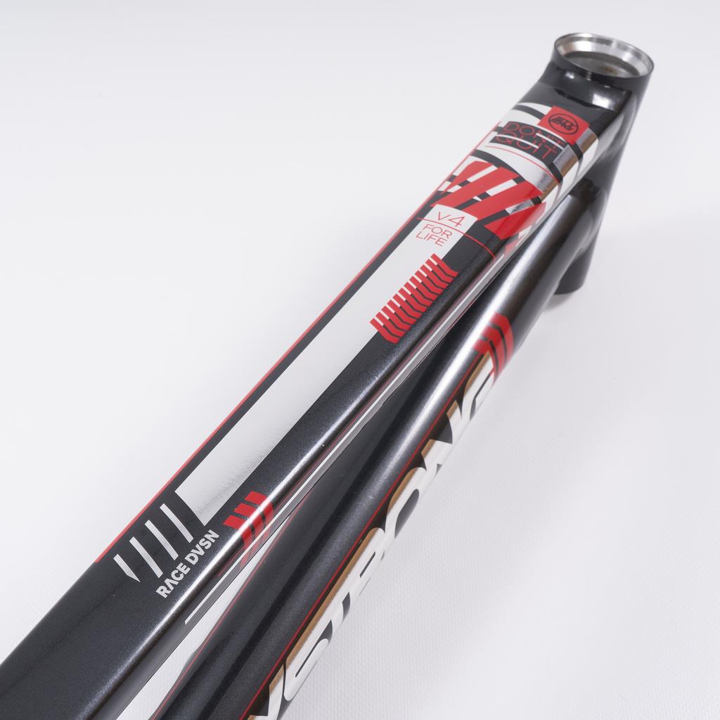  Stay Strong For Life 2023 V4 Expert XL Race Frame、mySite、merchandisen