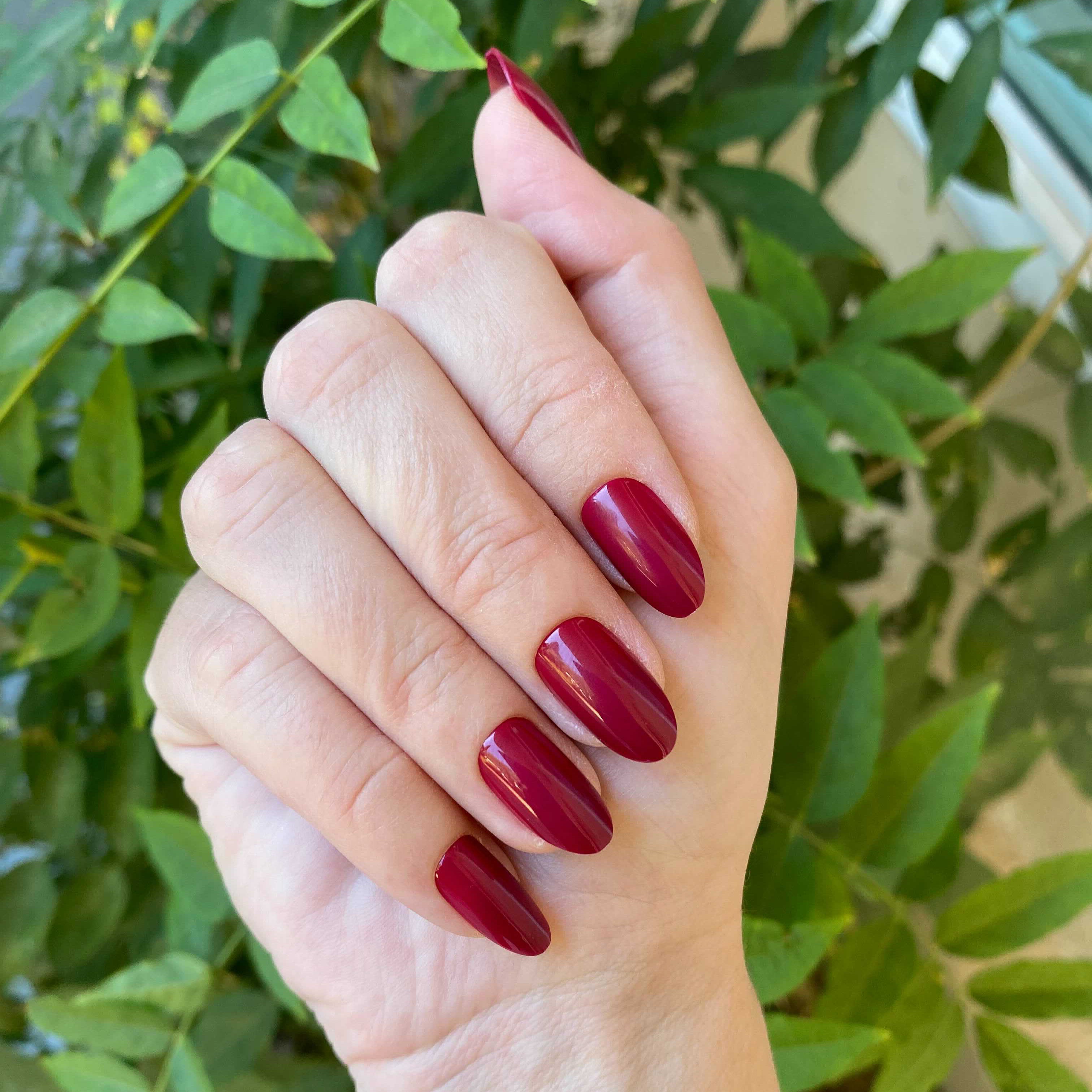 SC - Press-On | Medium | Oval、mySite、solidvoid