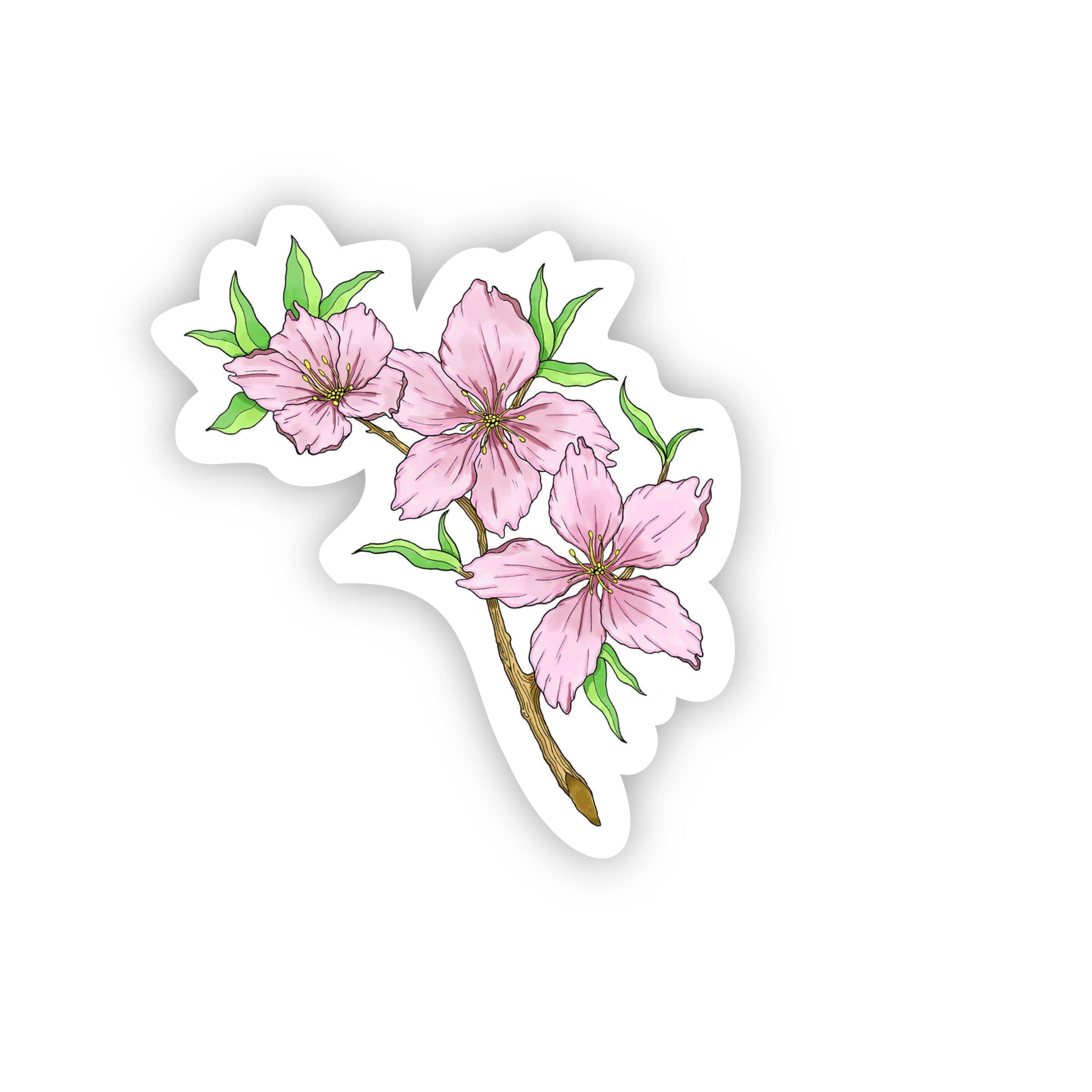  Dream catcher flowering cherry tree sticker、mySite、elrpsem3k